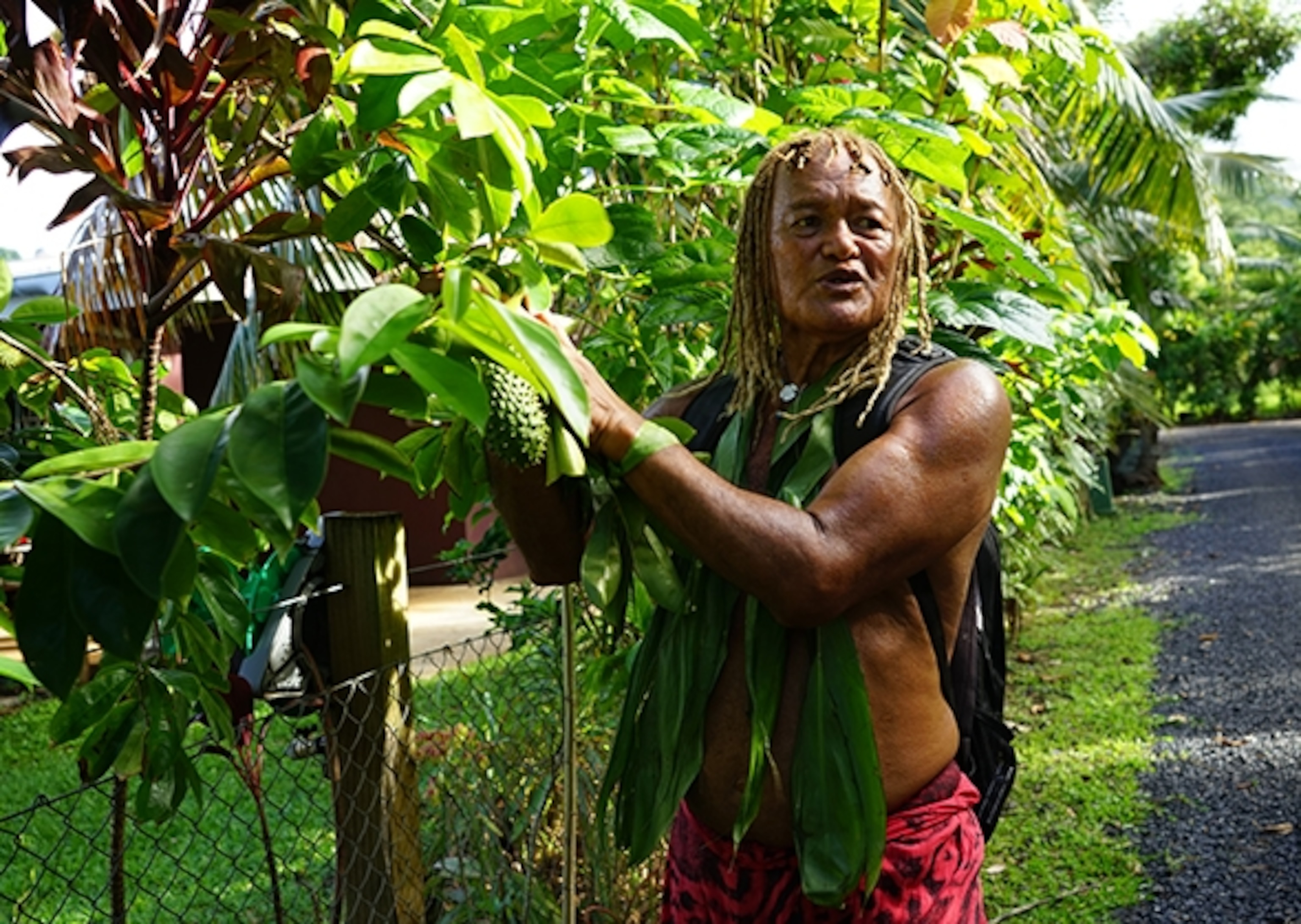 Pa points out graviola, a medicinal plant, to a group during one of his nature walks. (Photograph by Leslie Trew Magraw)