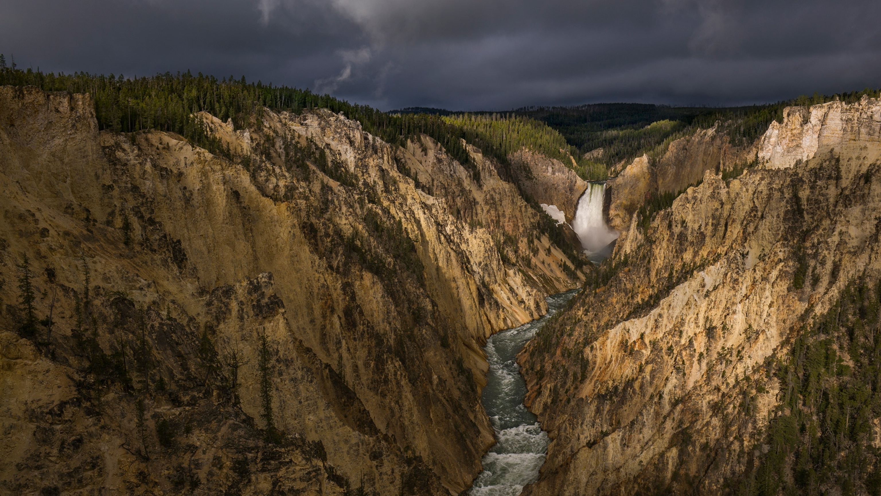 Are Dogs Allowed In Yellowstone National Park