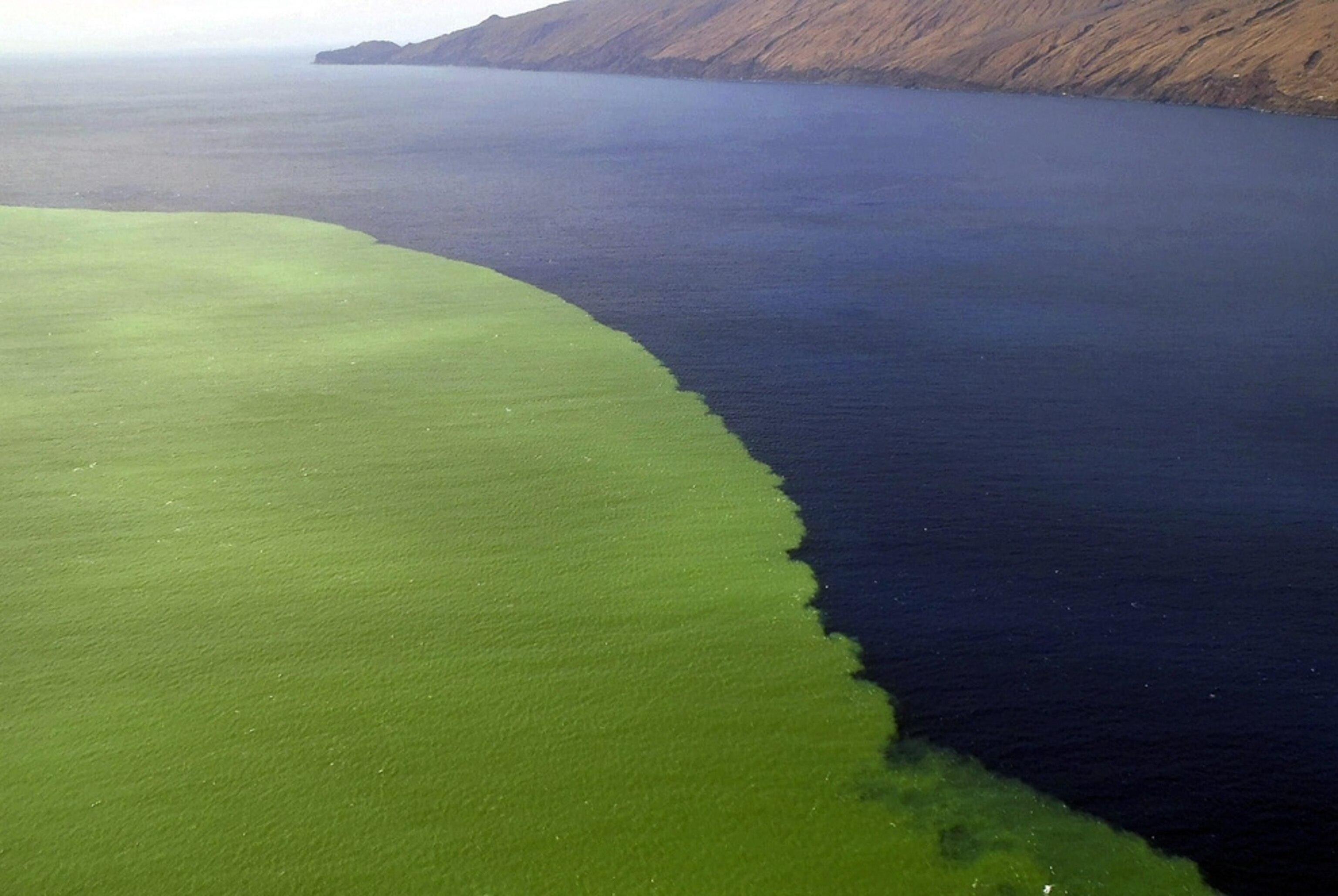 Volcano picture: green seas near the Canary Islands, site of underwater eruption