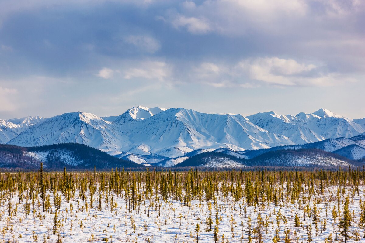 What it takes to stem poaching at the YukonAlaska border