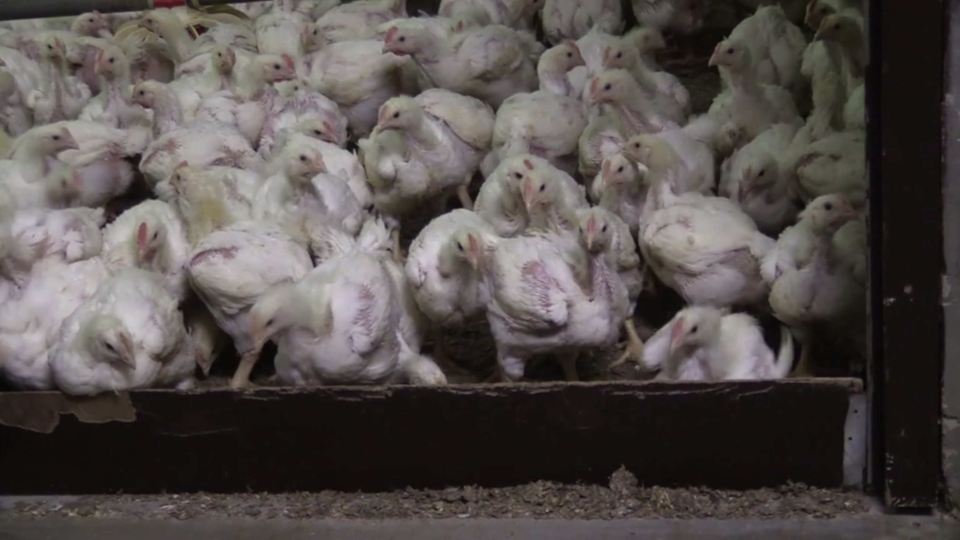 Screen Shot 2014-06-30 at 3.29.55 PM