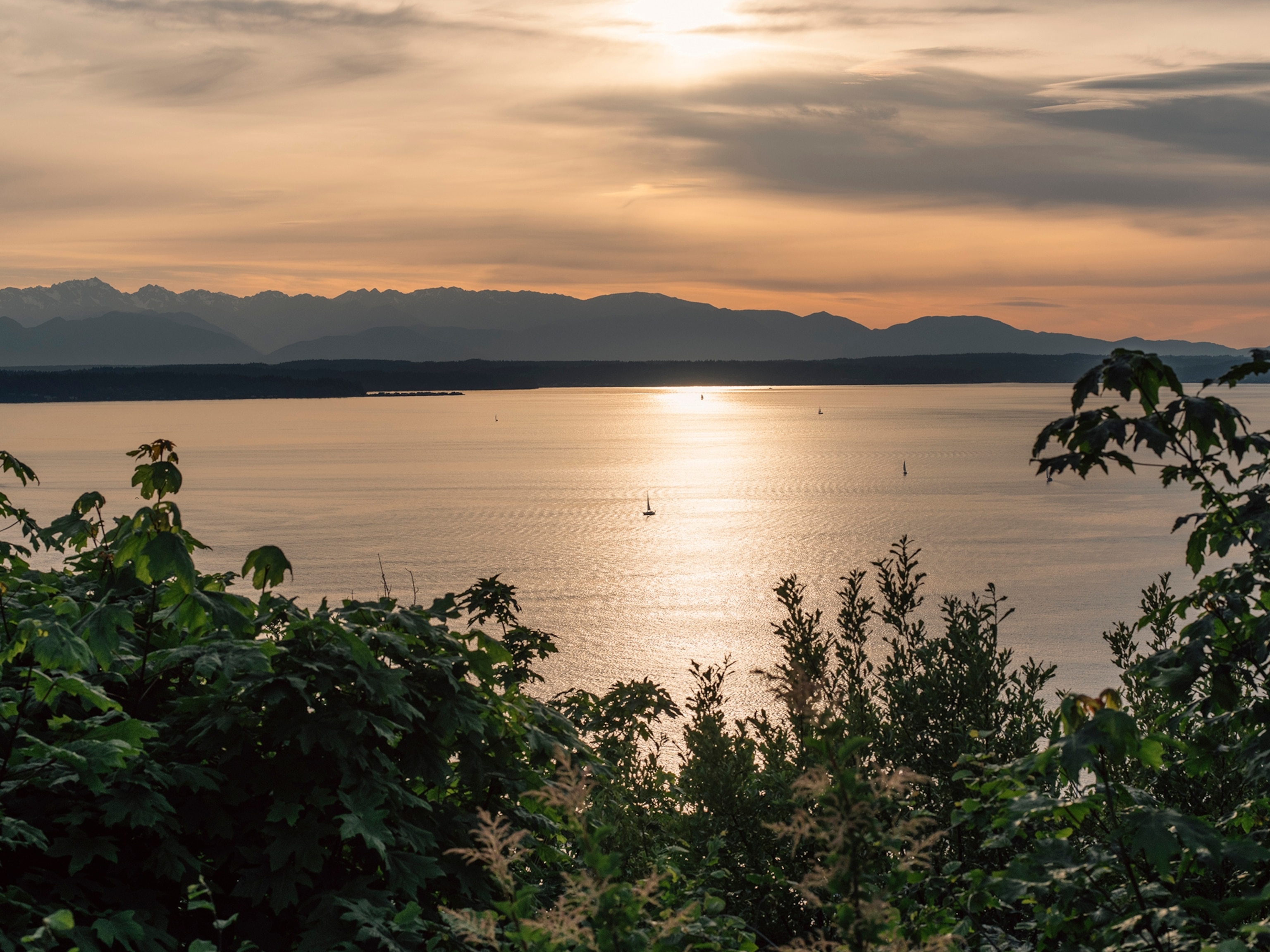 sunset over the Olympic Mountains in Washington