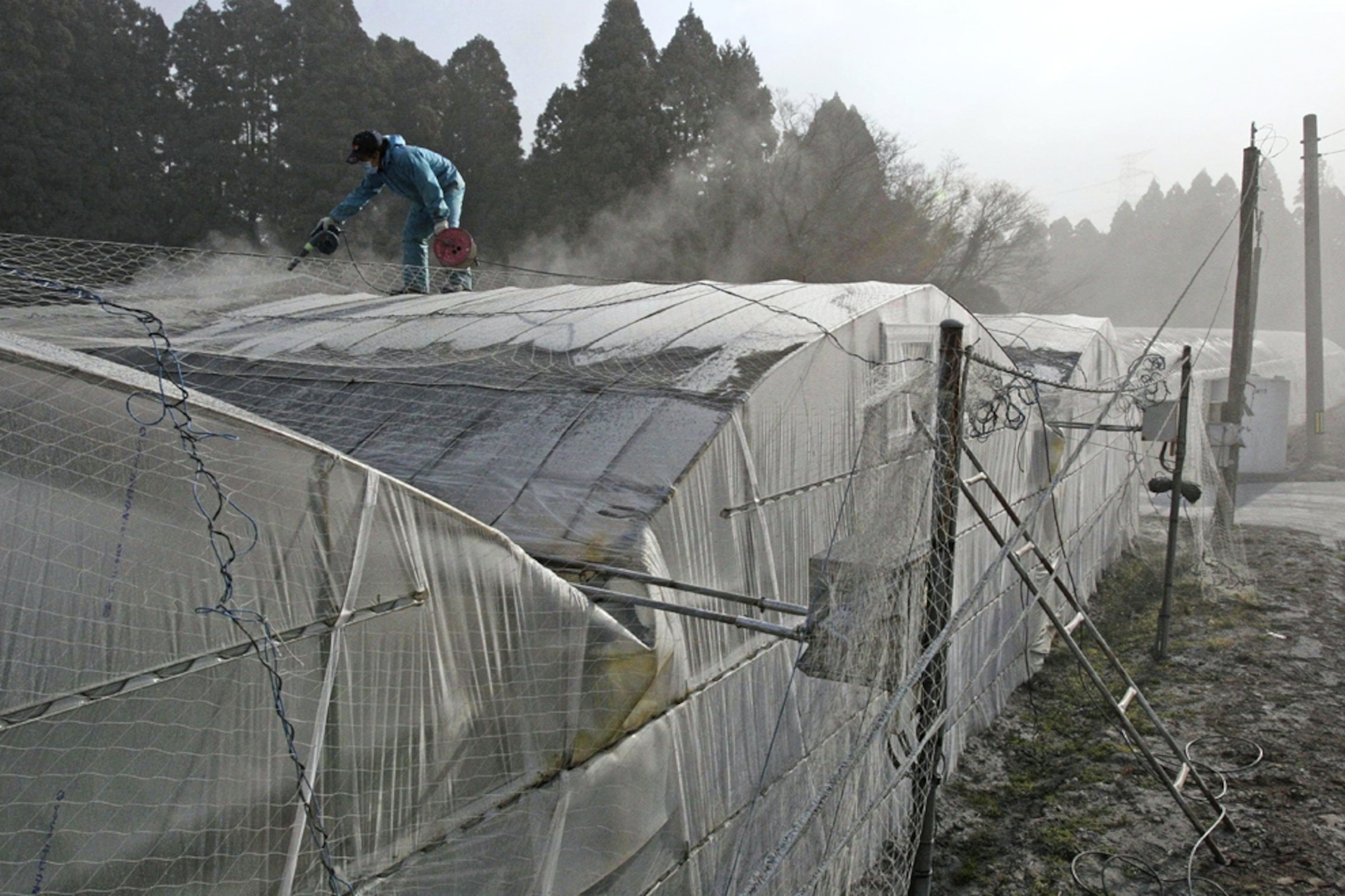 Farmer cleaning ash from Japanese volcano picture