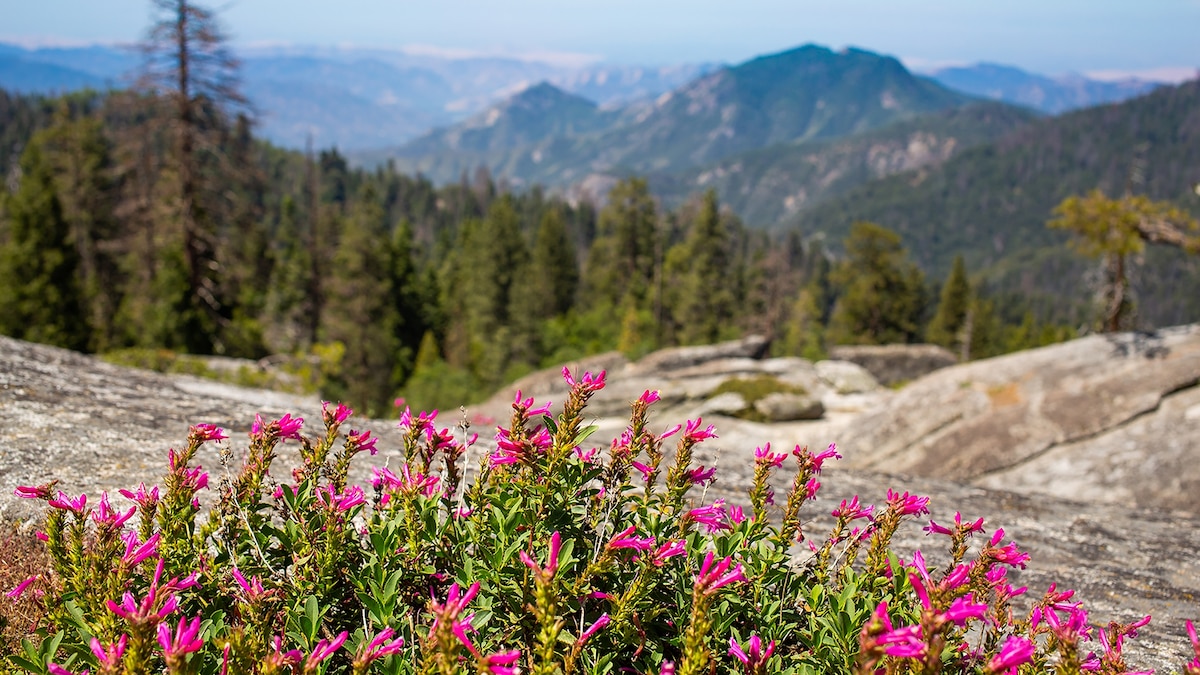 An adventurer's guide to California's hidden heartland