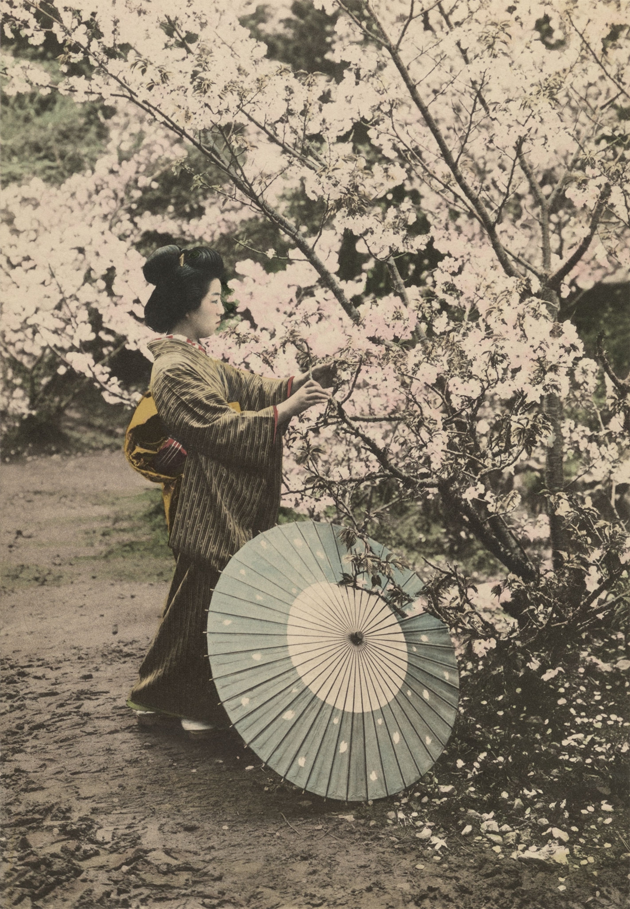 a woman with cherry blossoms
