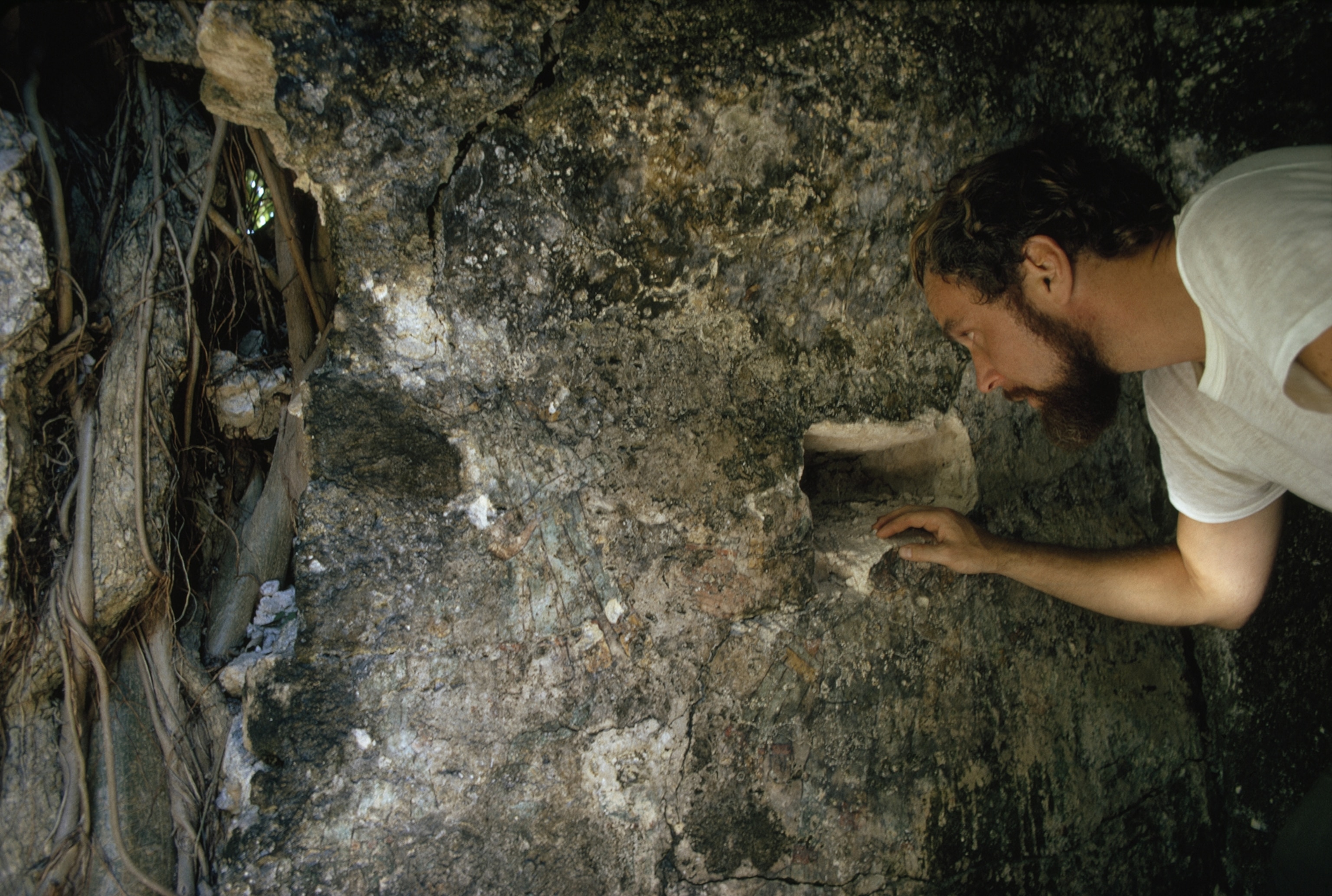 Sacrificed to greed, Chac, the Rain God, lost his head in Tan cah sometime before 1971, when Dr. Arthur G. Miller, studying murals under a Na tional Geographic Society grant, found only this gaping hole (right). The entire mural seemed hopelessly lost under 700 years of limestone ac cretions. Artist Felipe Davalos Gonzalez, working with Dr. Miller, traced line and color to reconstruct Chac holding an ax and offering (upper right). He filled in the head based on a kneeling Chac alongside.