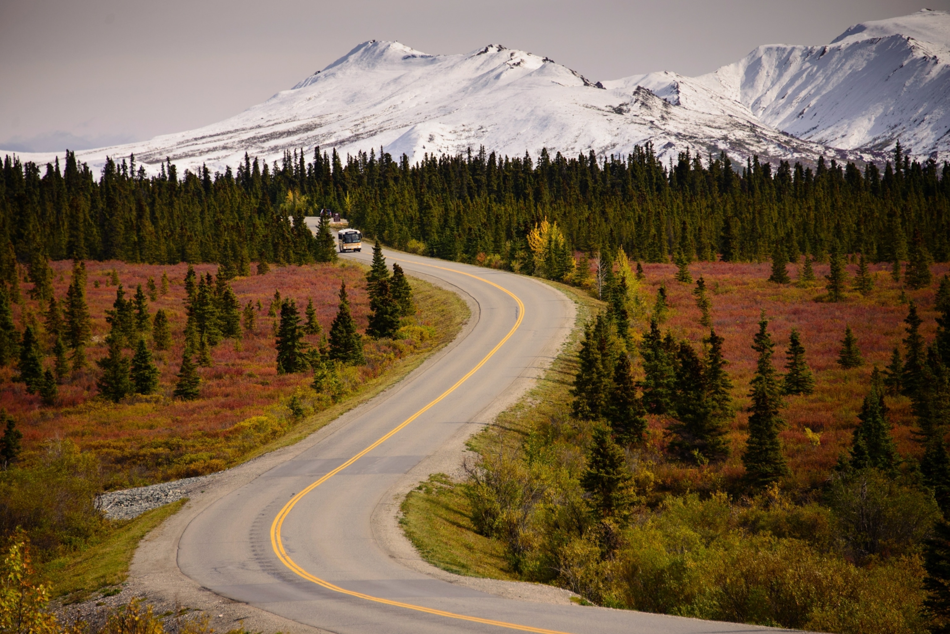 A road cutting across the Denali landscape