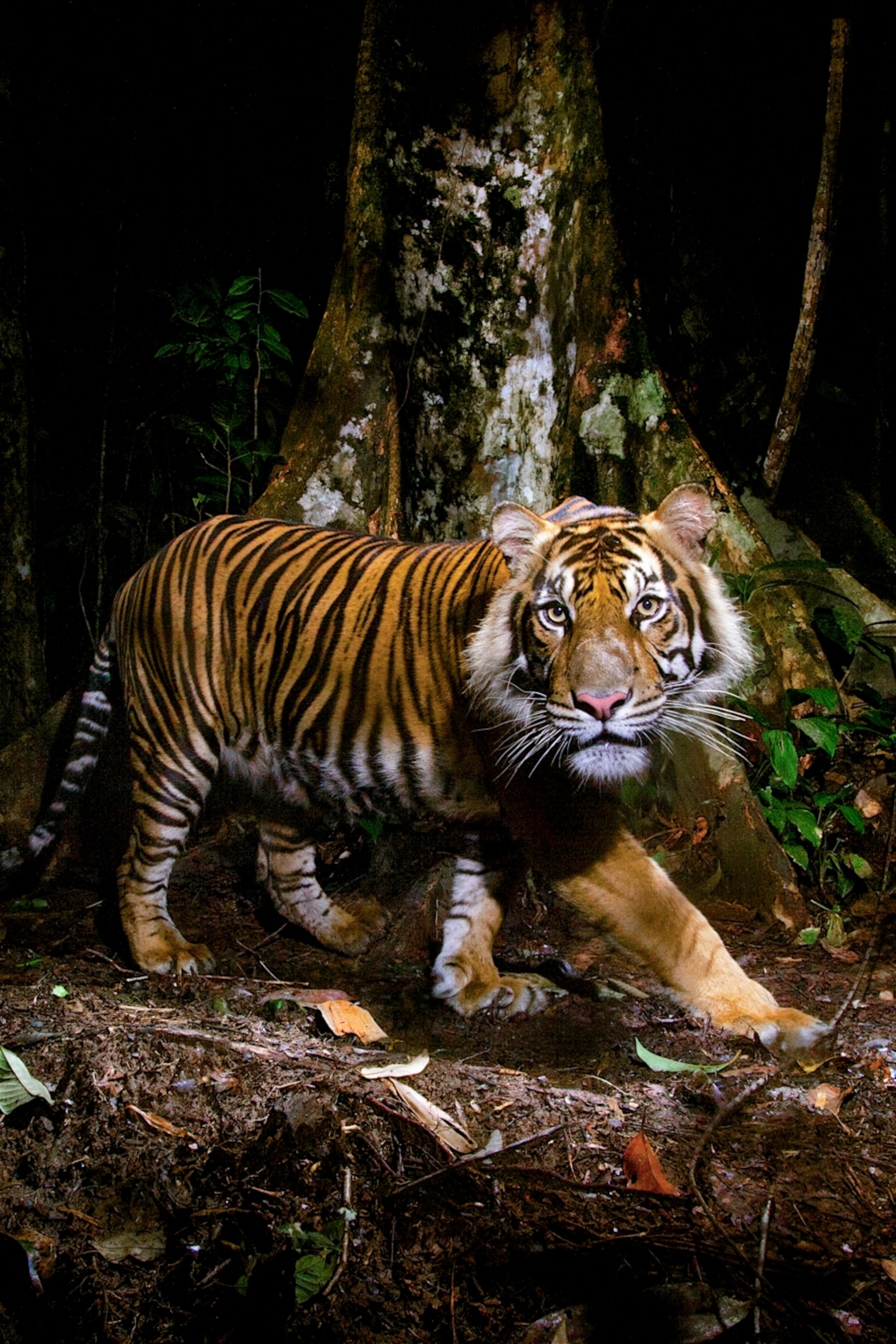 Best of the World | National Geographic