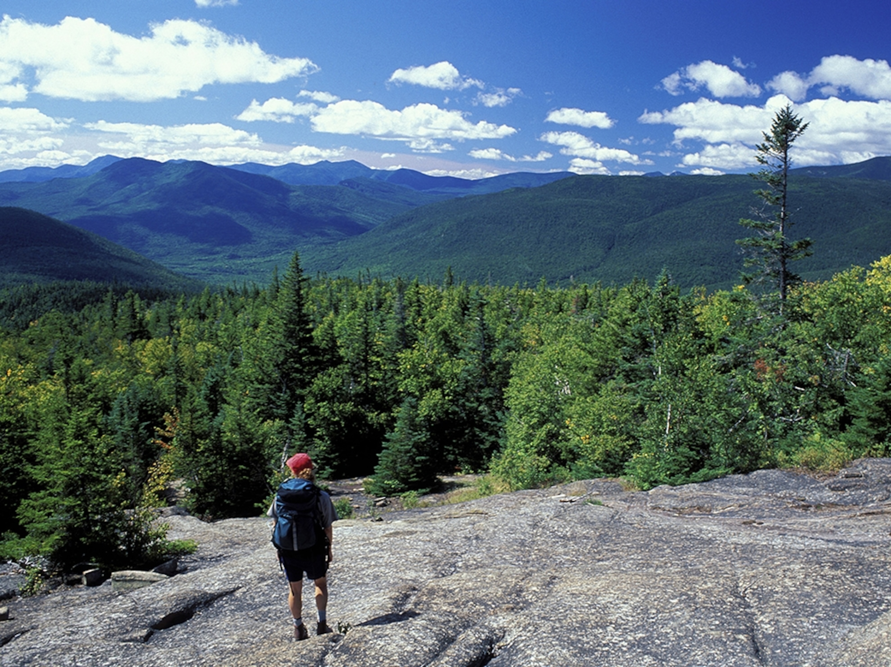 Mount Crawford, just off the Davis Path and Cohos Trail
