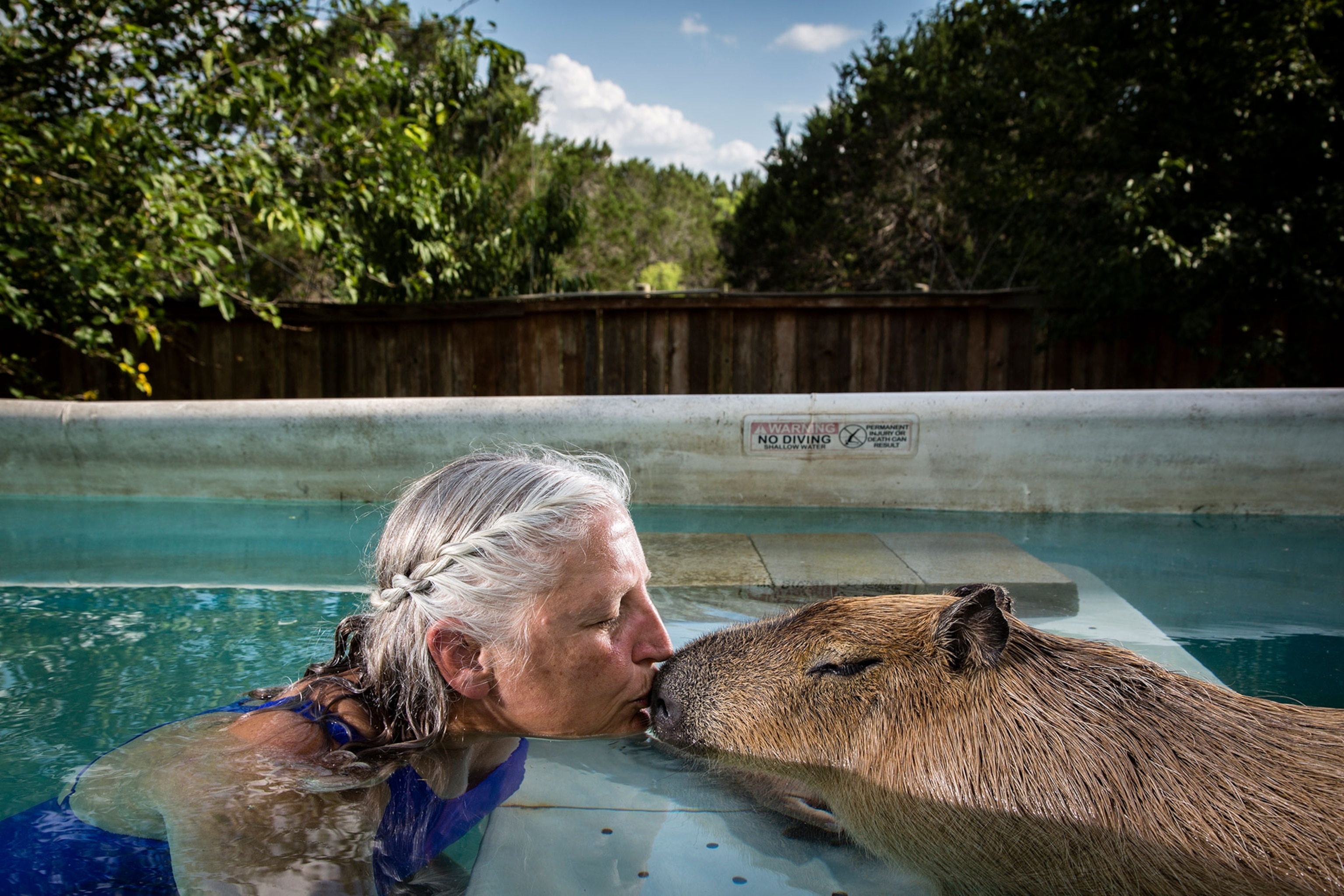 a swimming pool in Buda, Texas