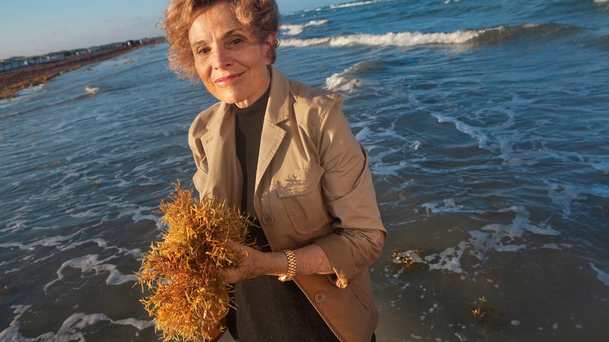 Sylvia Earle’s decades-long commitment to exploring and protecting the ...