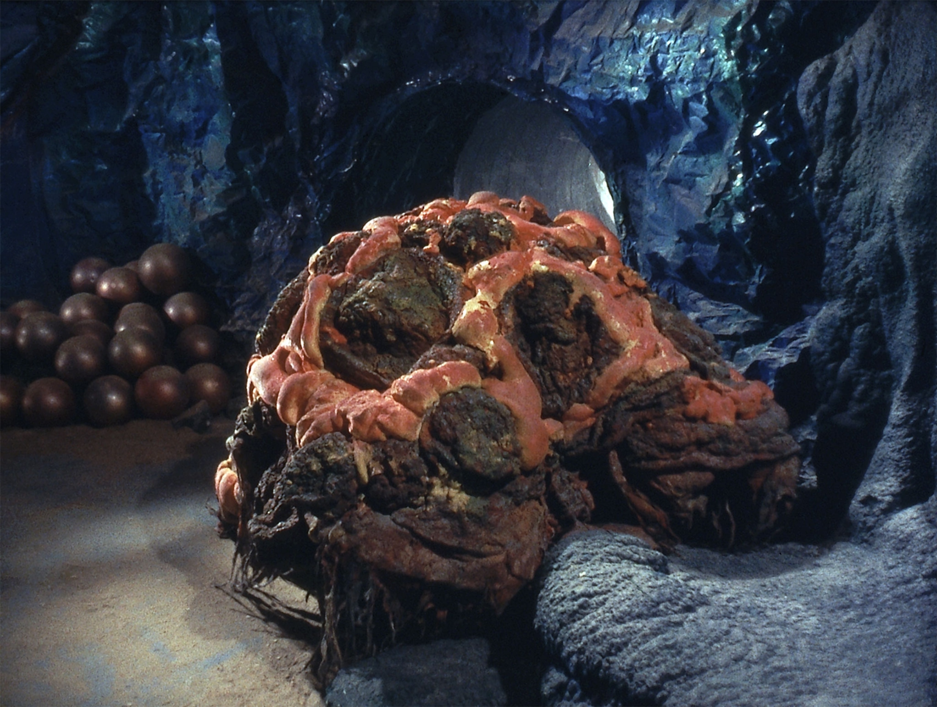 silicone-based life form seen in the movie Star Trek