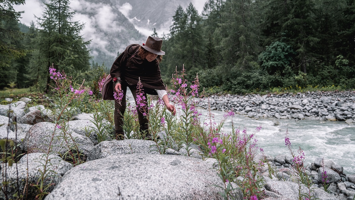 Go on a foraging trip to Italy's Brenta Dolomites