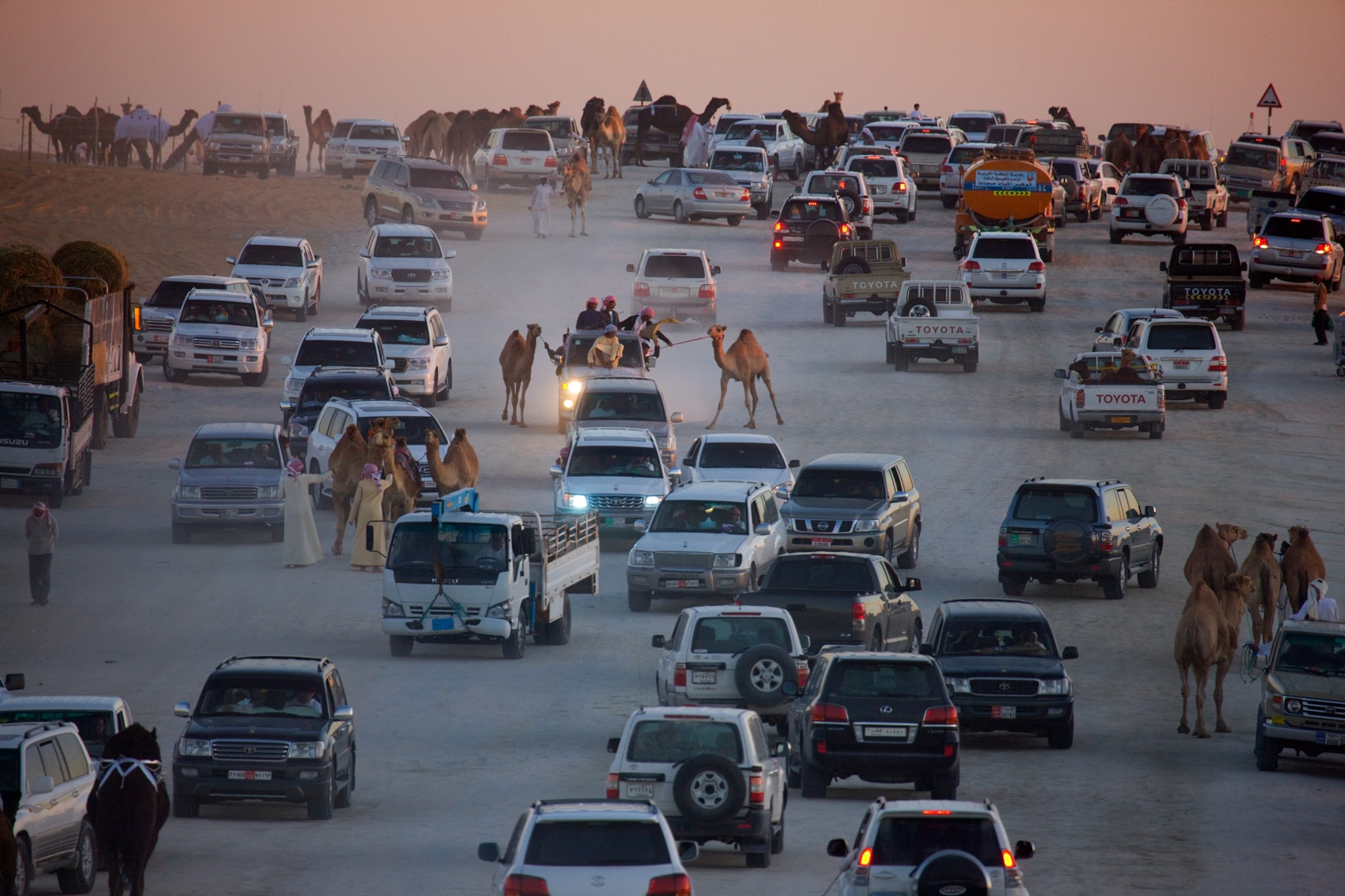 camels and automobiles on Million Road