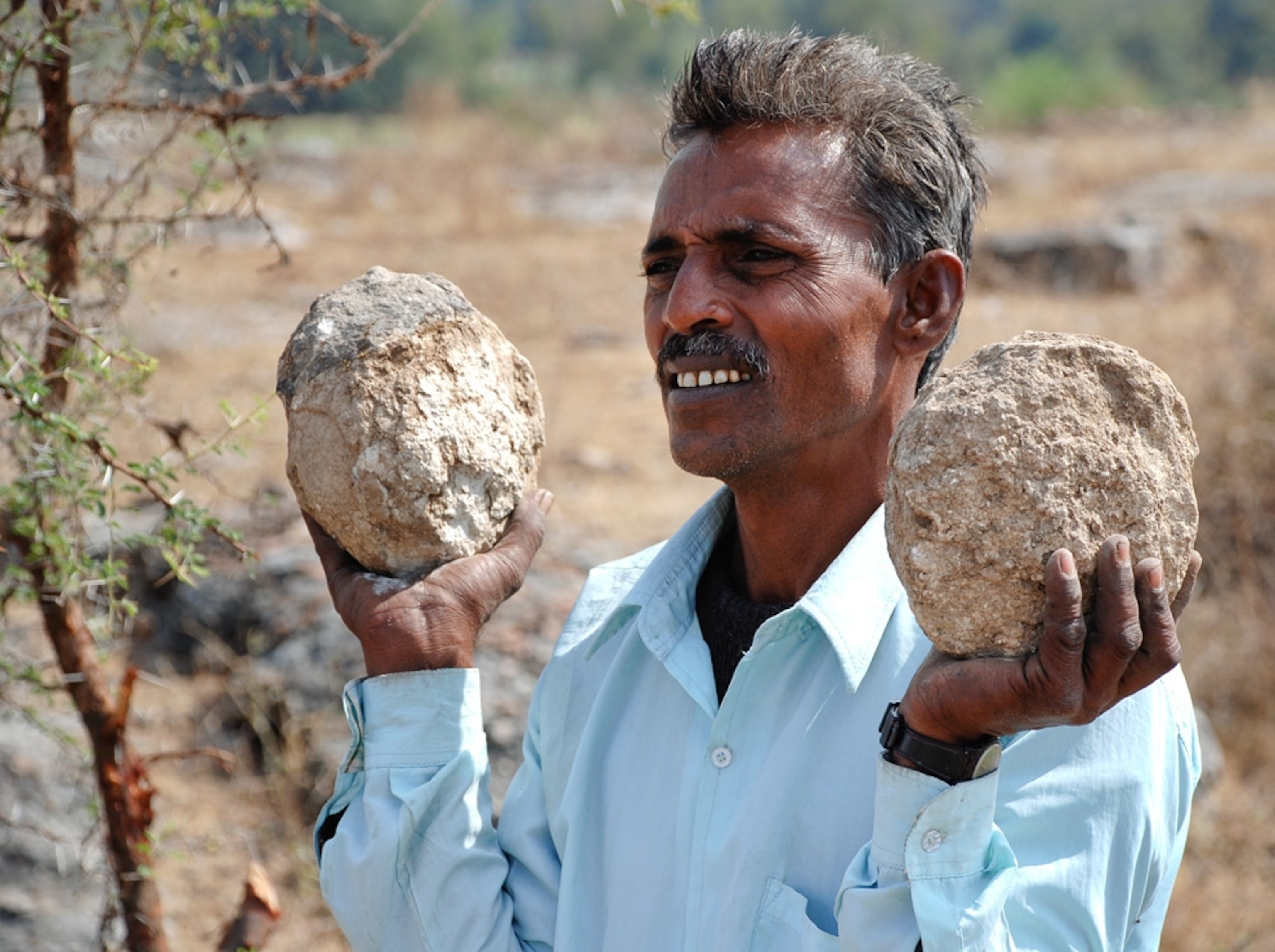 Picture of a field assistant holding up two fossilized dinosaur eggs unearthed in India