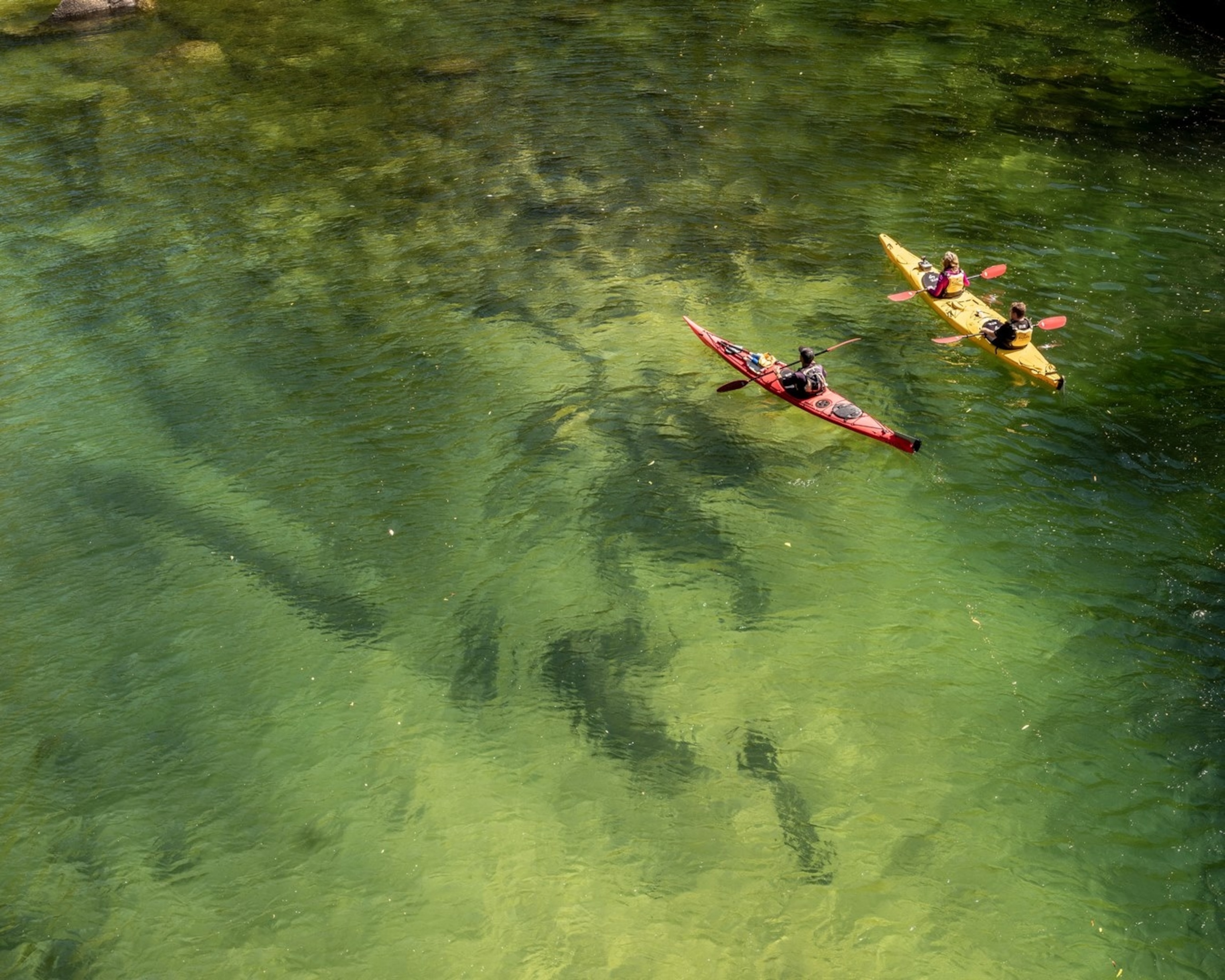 New Zealand, Nelson and Abel Tasman