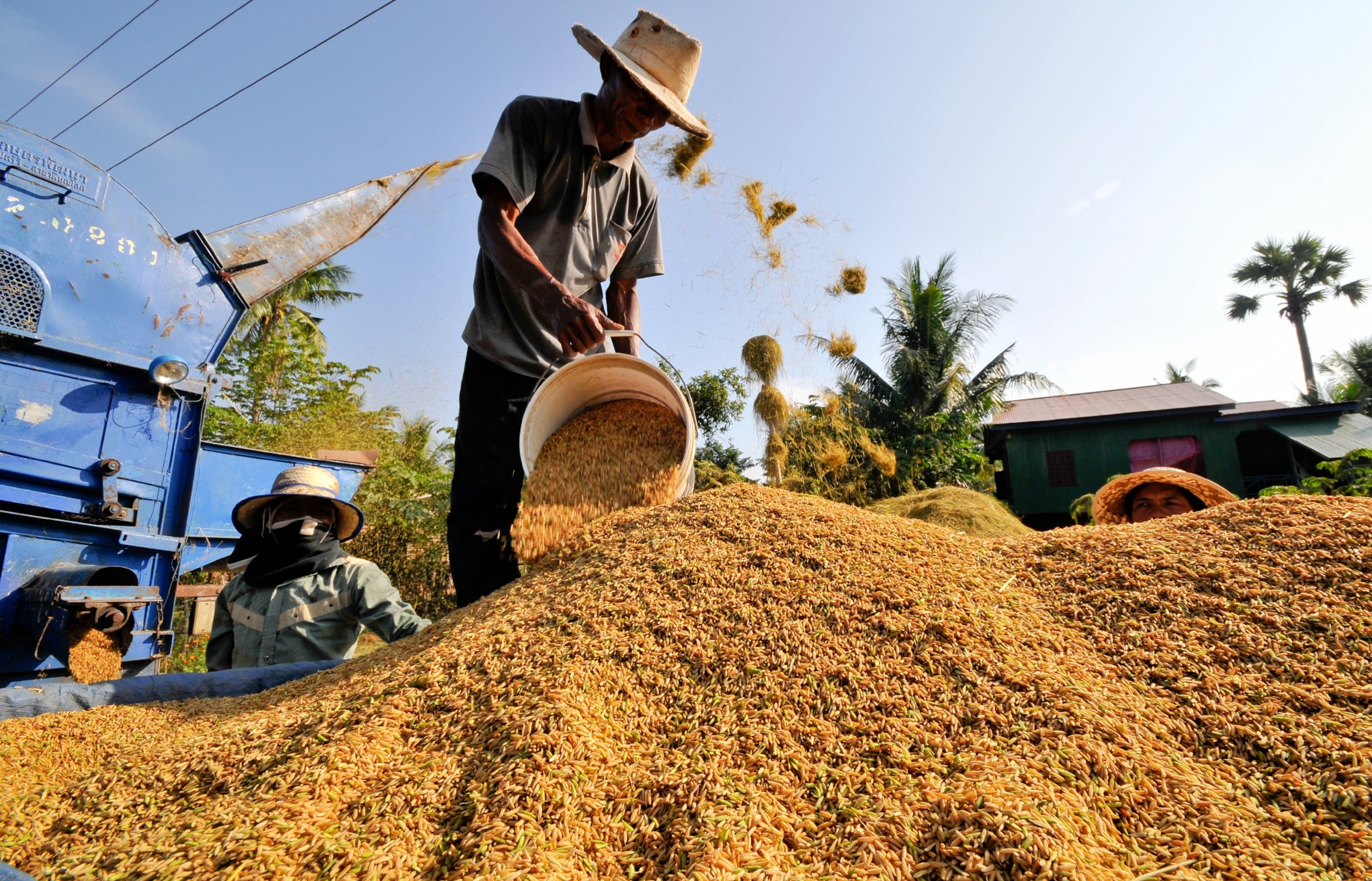 boys in a rice field in Philippines.