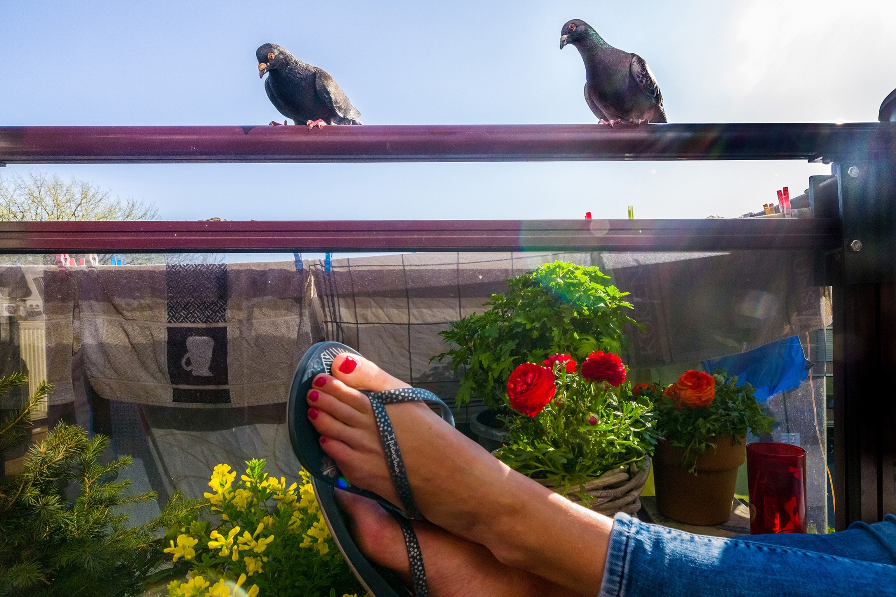 a woman's feet with and pigeons on a railing above