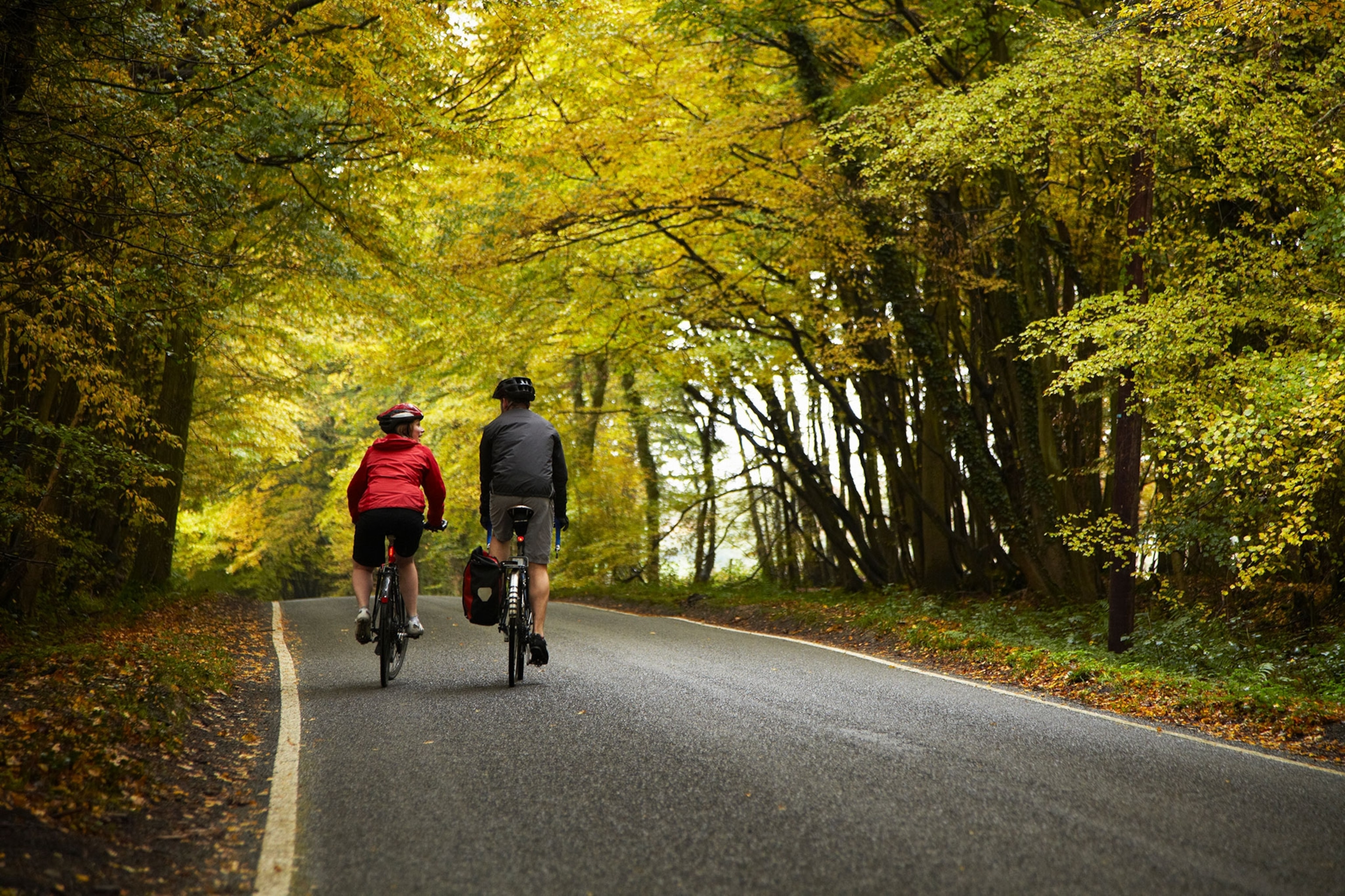 Two cyclists cycle on a road through a forest in England, United Kingdom