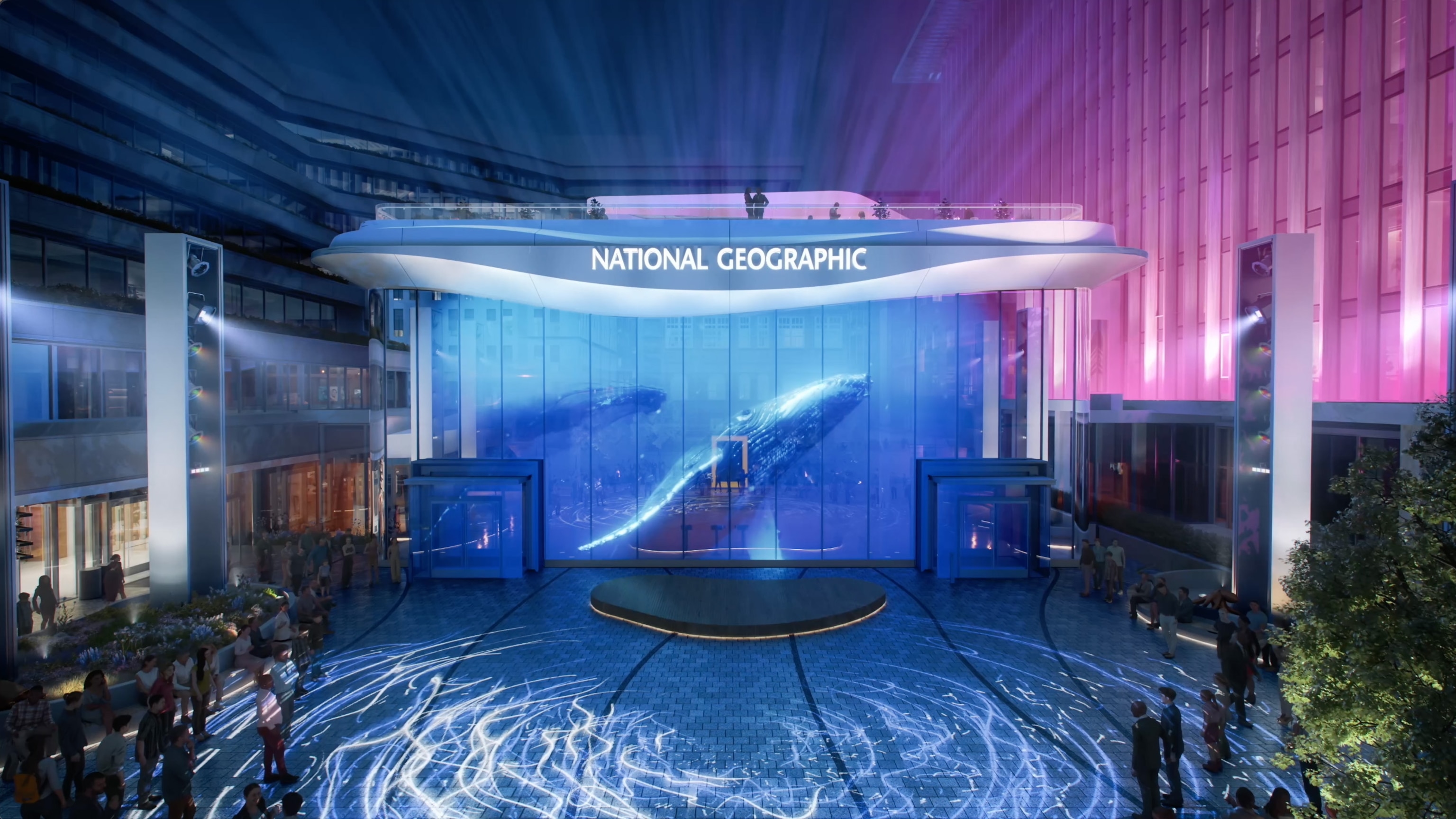 Rendering of the National Geographic Museum of Exploration shows a video projection of a whale on the facade of a building