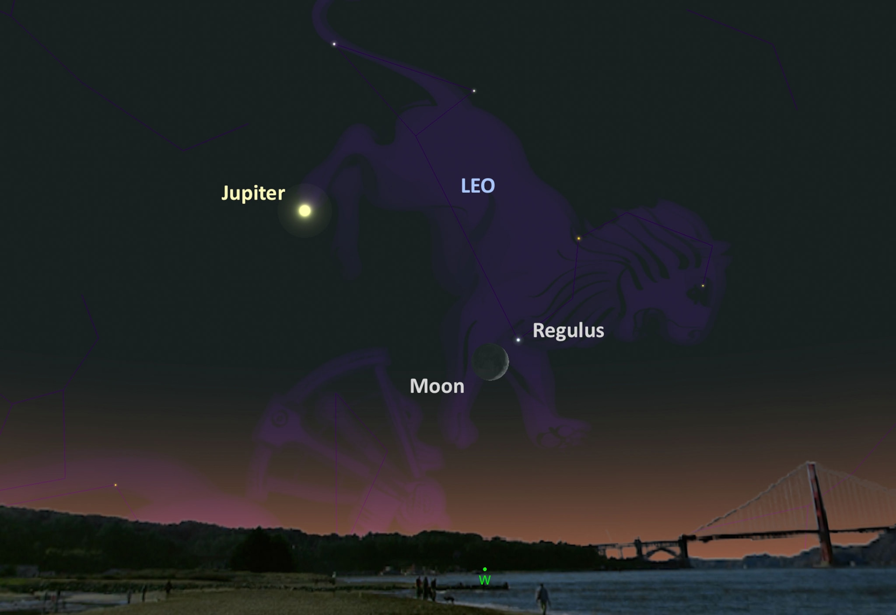 Regulus, a star in the constellation Leo