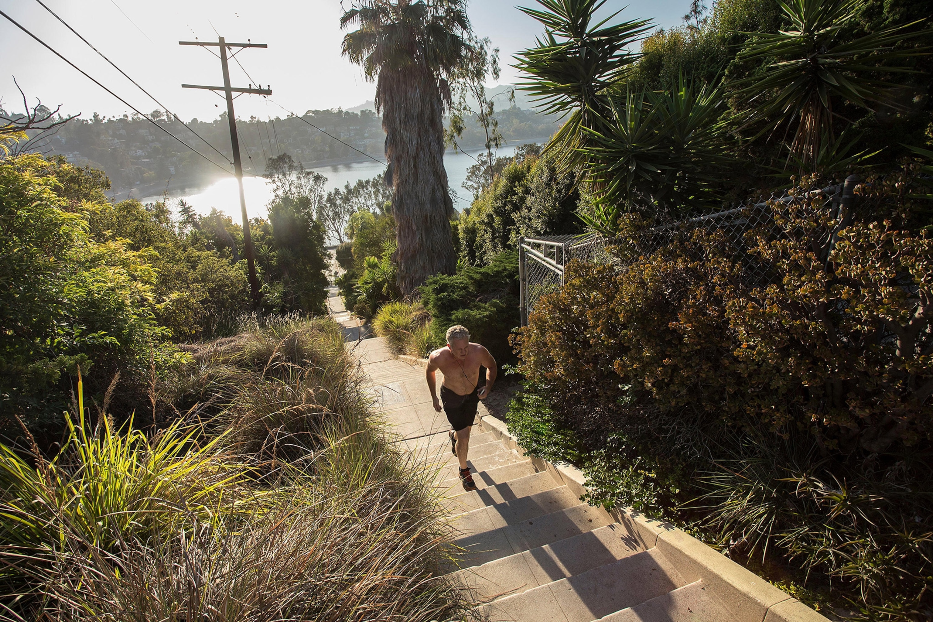 a staircase in the Silver Lake neighborhood of Los Angeles, California