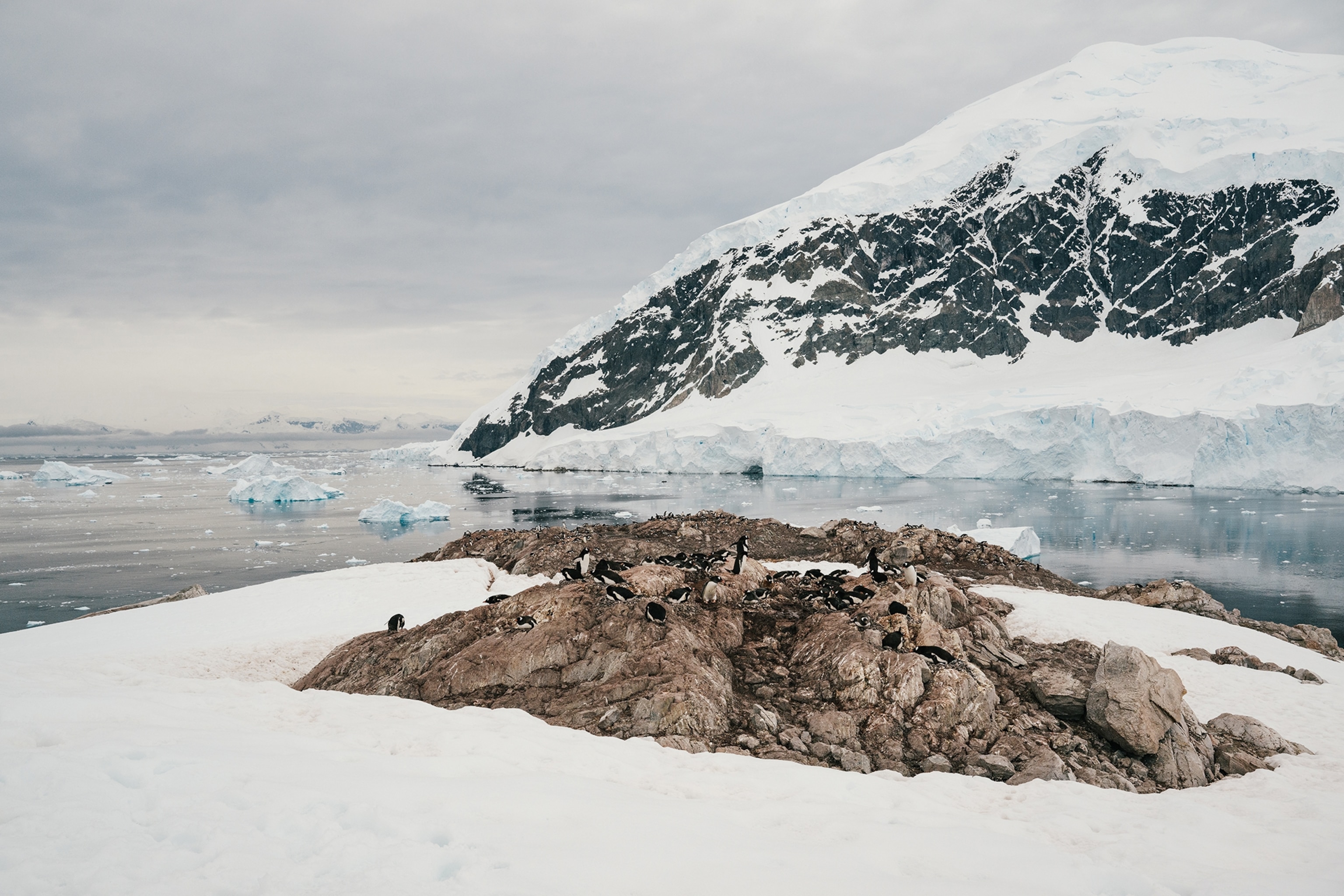 Photo story: a water-borne adventure into fragile Antarctica | National  Geographic