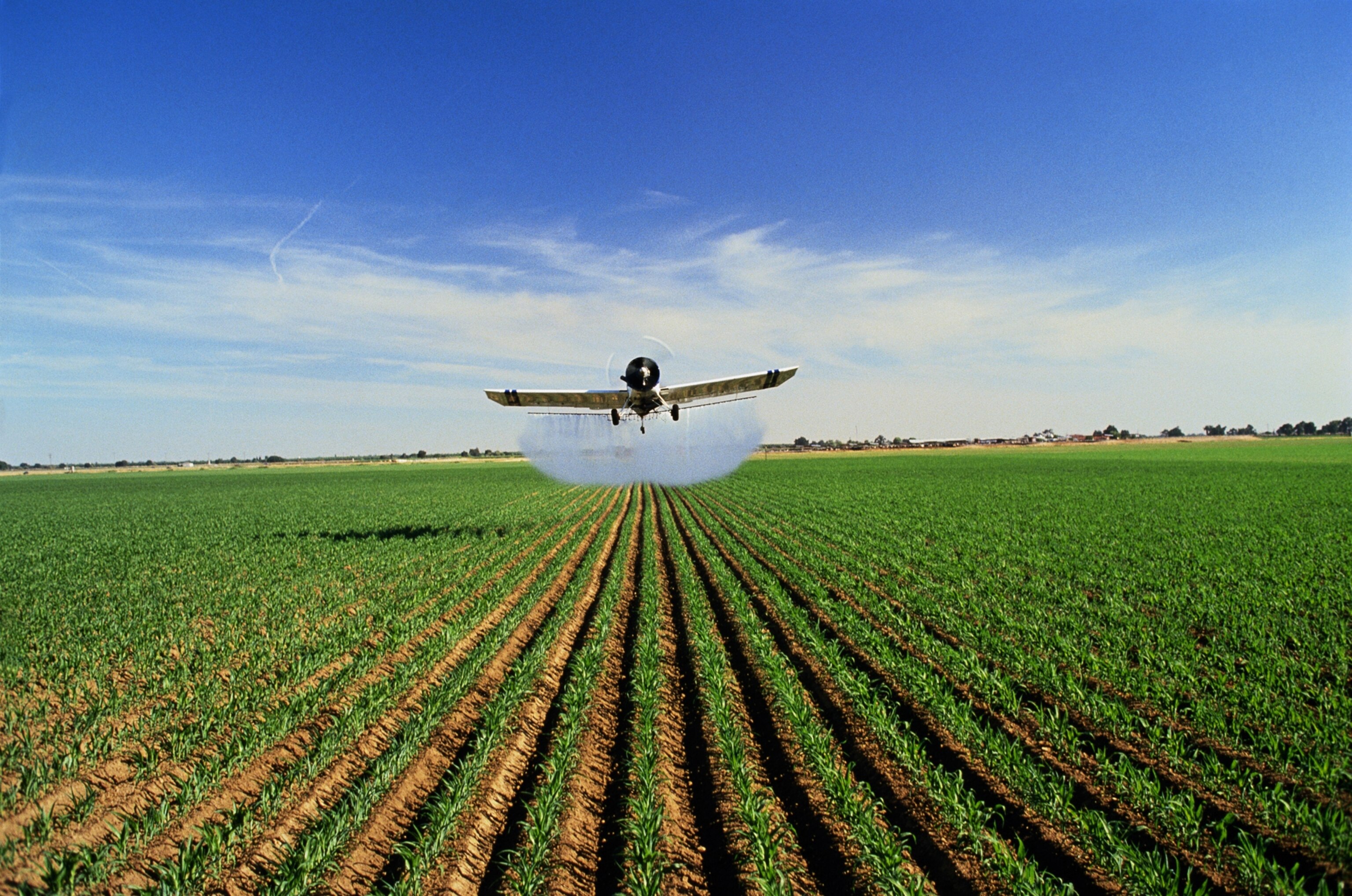 Plane spraying pesticide on a corn field in California, USA