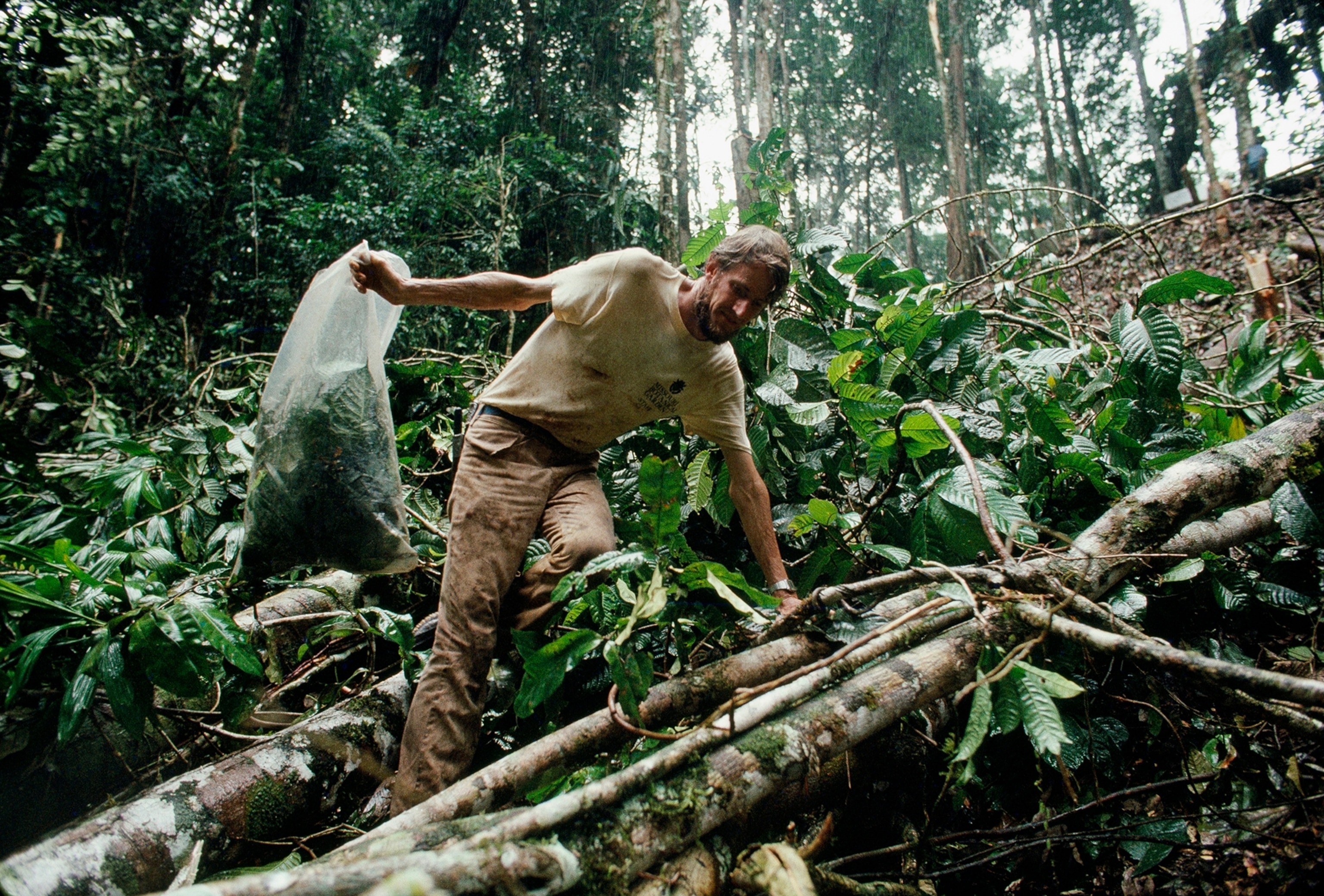 A botanist collects plant specimens for the Missouri Botanical Garden.