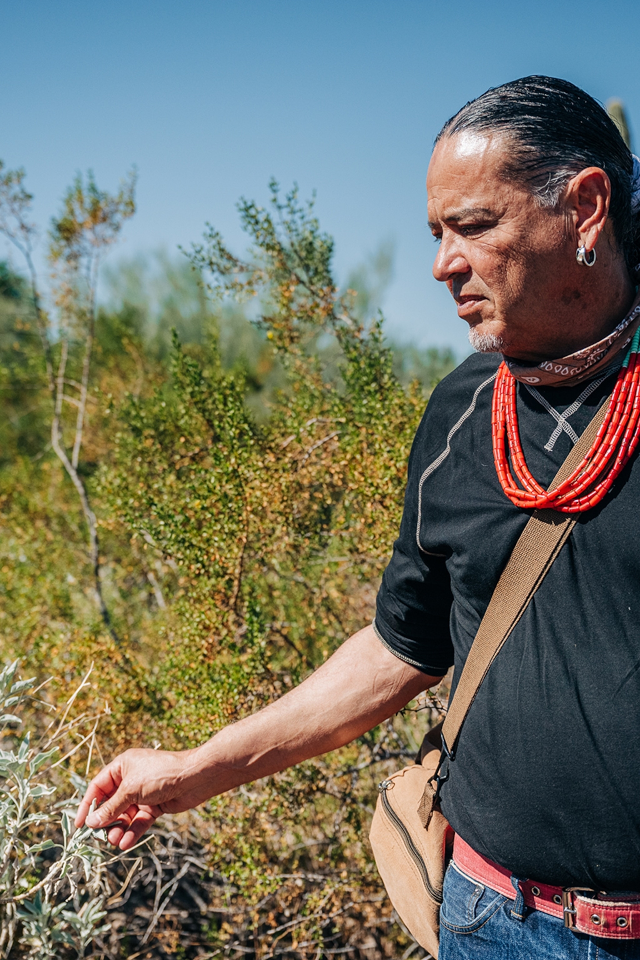 Jeffrey Lazos Ferns looking at a plant in the Desert Botanical Garden