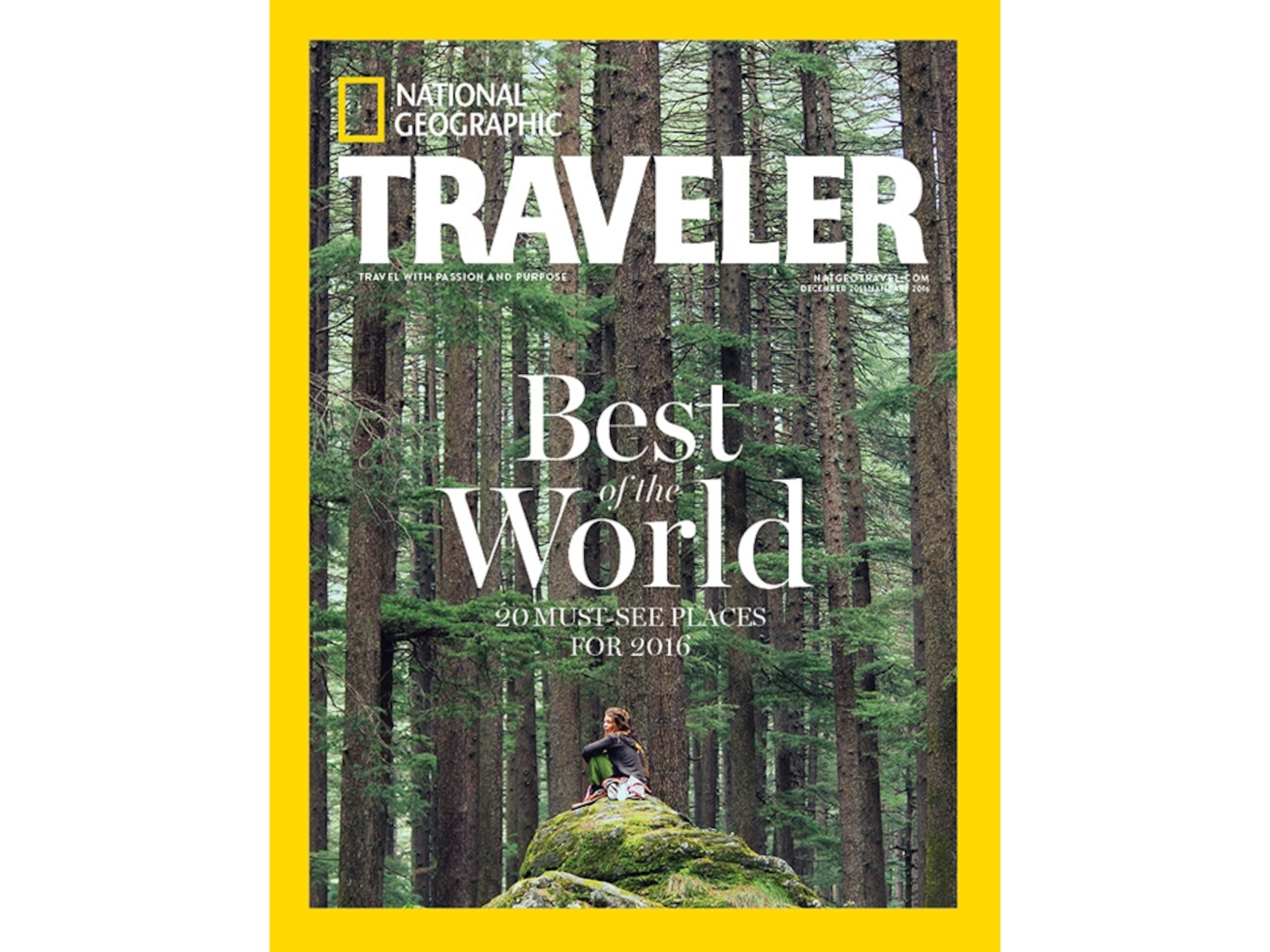 a girl sitting in the woods in Manali, India