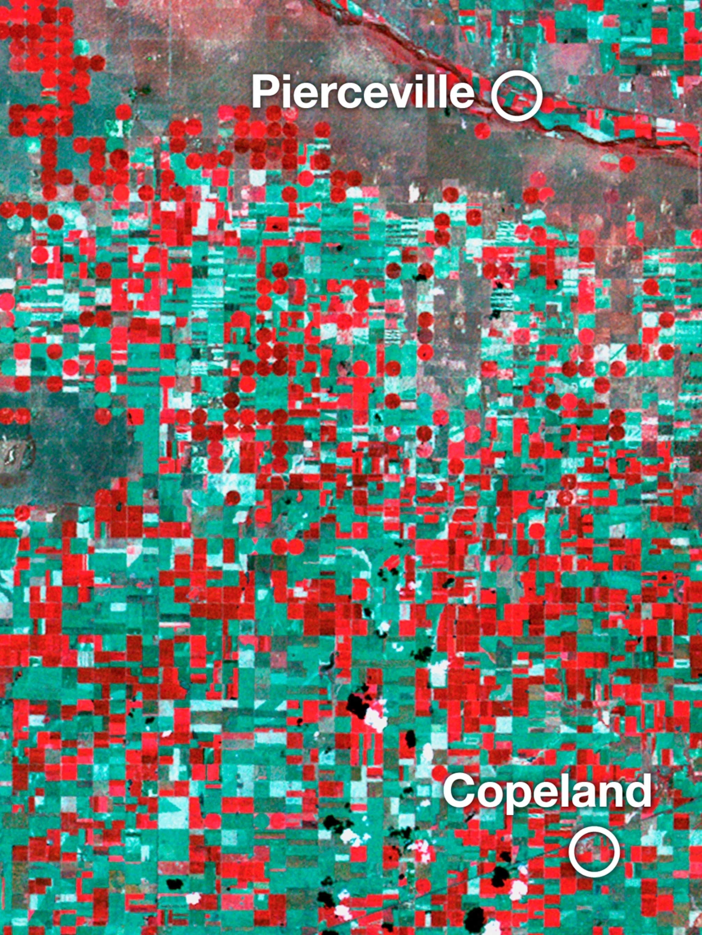 Family Crisis Services Garden City Ks Fasci Garden