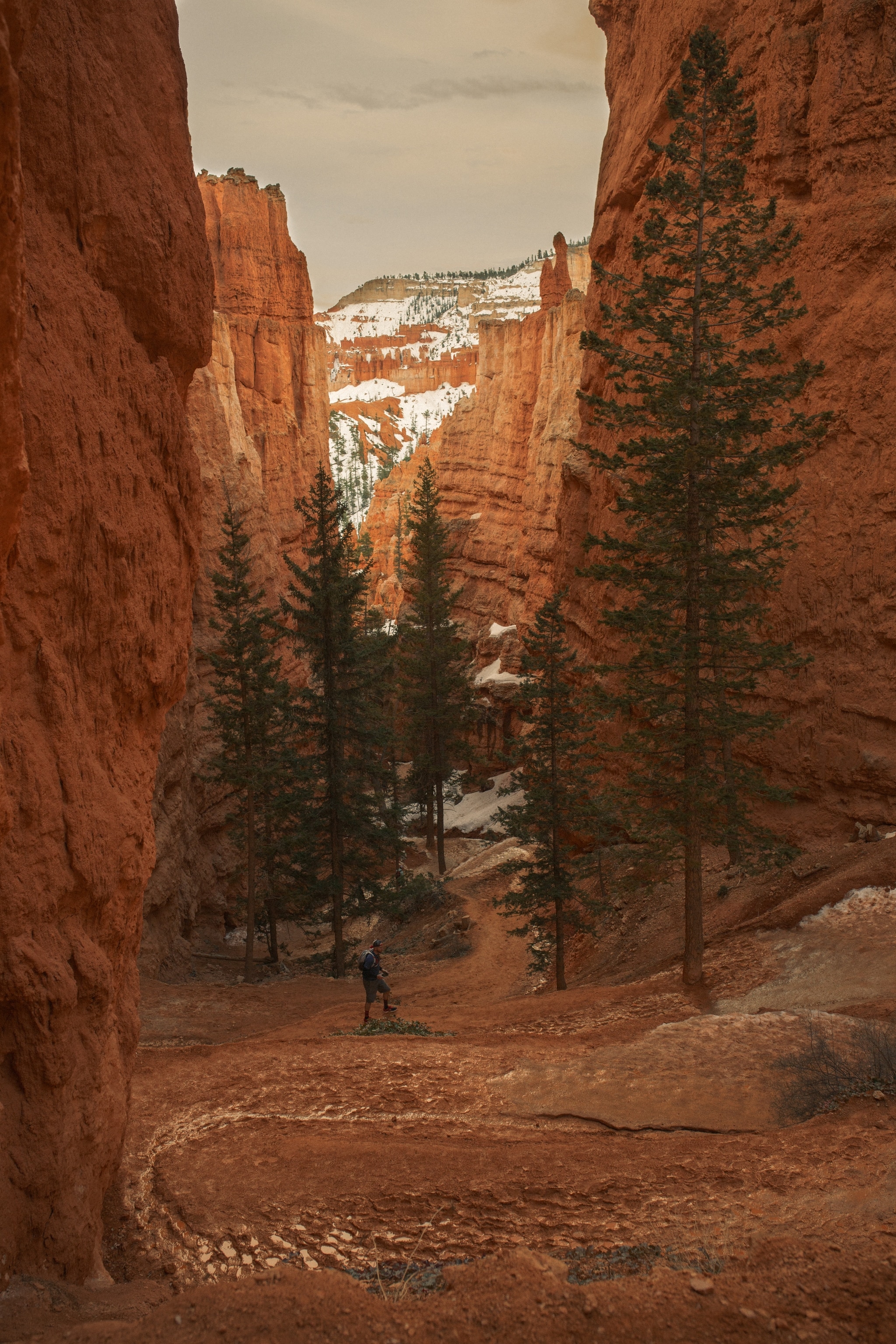 Bryce Canyon