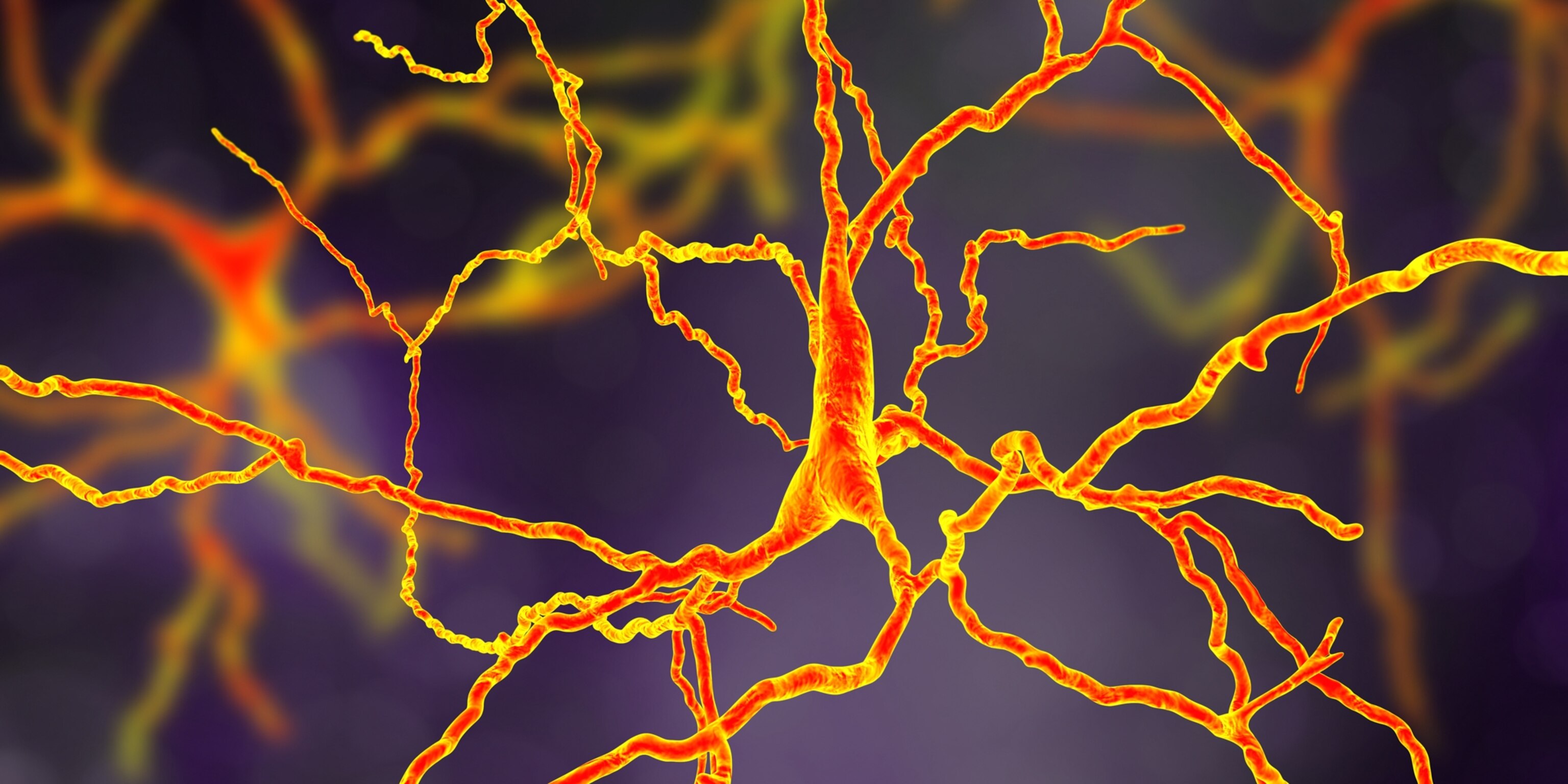 Visualization of glowing orange and red neurons with branching extensions on a dark purple background