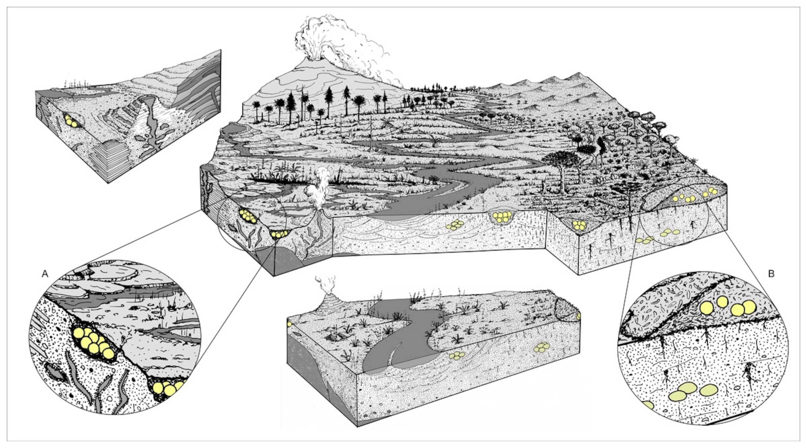 A) Burrow nesting and B) mound nesting styles proposed for titanosaurs. From Hechenleitner et al., 2015.