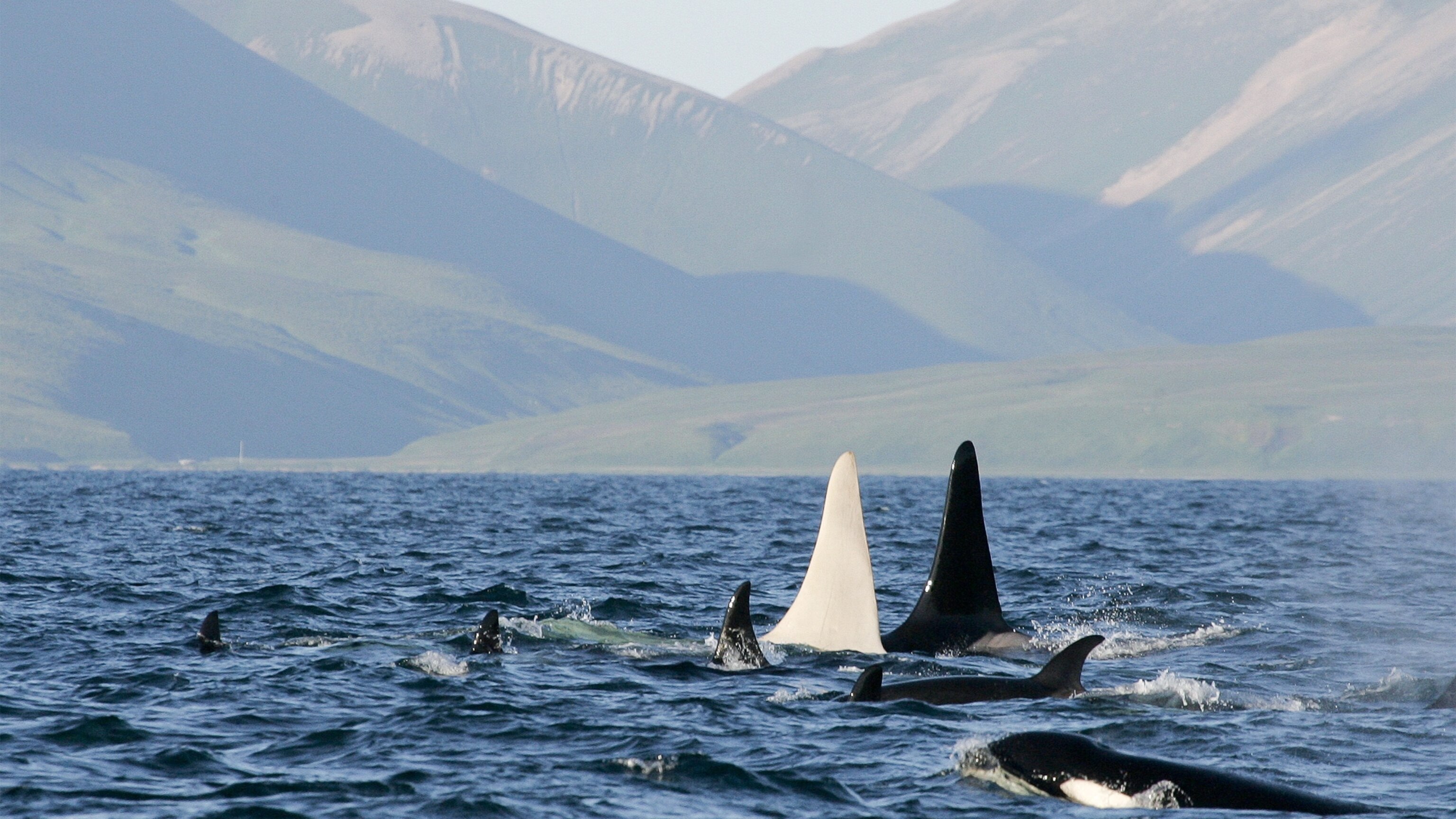 52074_16x9.jpg?w=1200