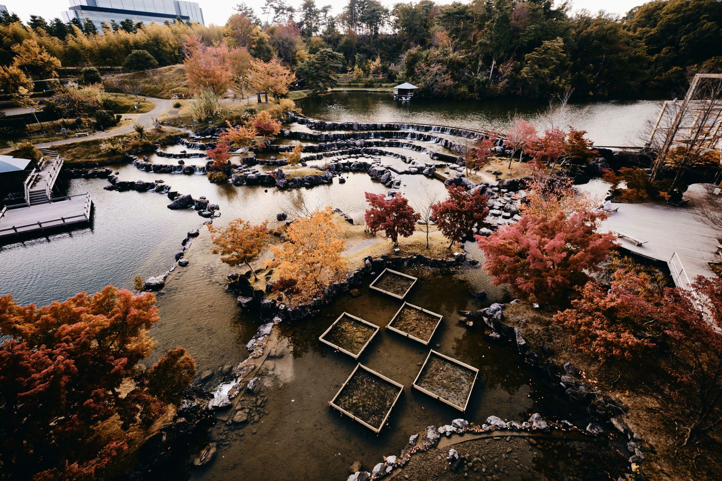Autumnal hues in the Keihanna Commemorative Park.