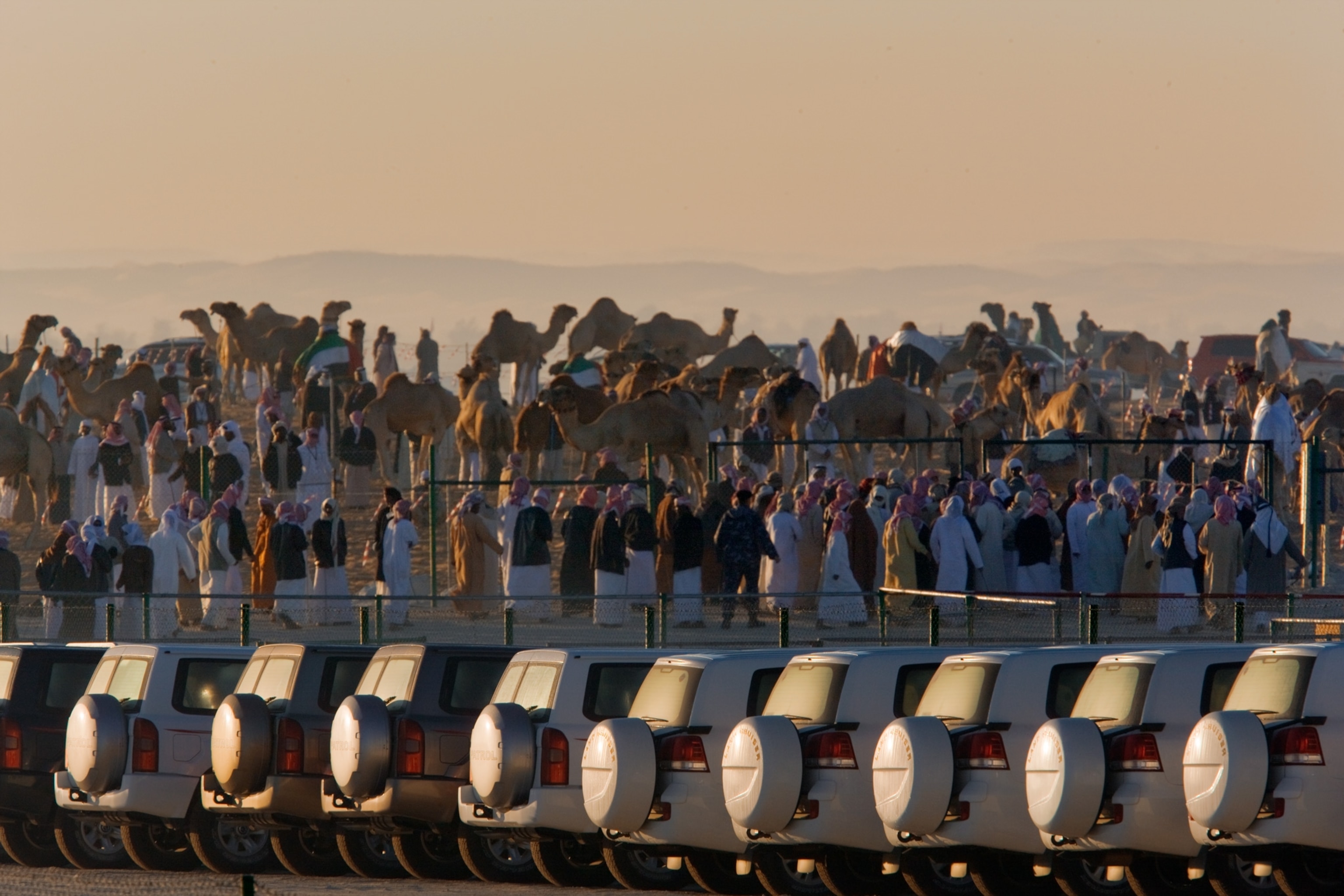 a row of cars that are among the prizes for winners of the camel pageant