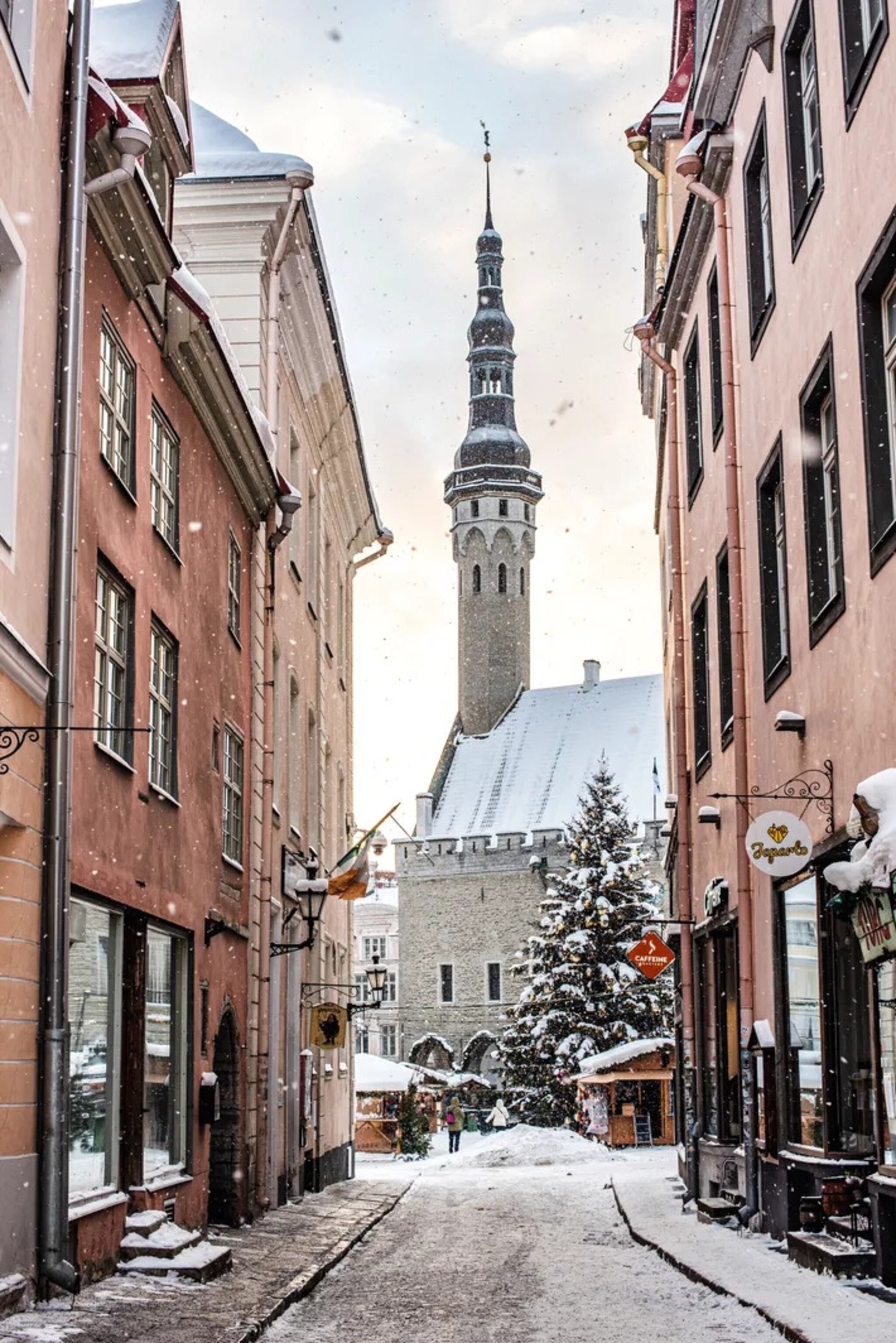 An Estonian feast: breaking bread with bakers in Tallinn