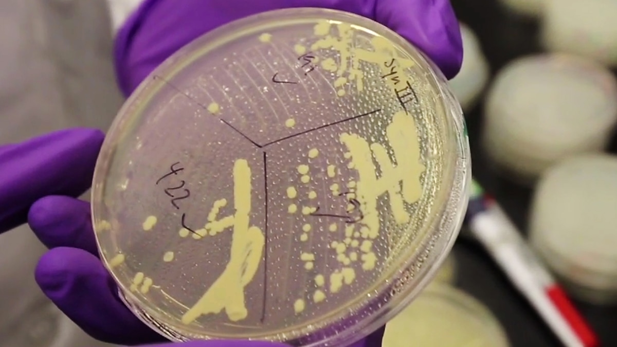 Scientists Move Closer to Inventing Artificial Life | National Geographic