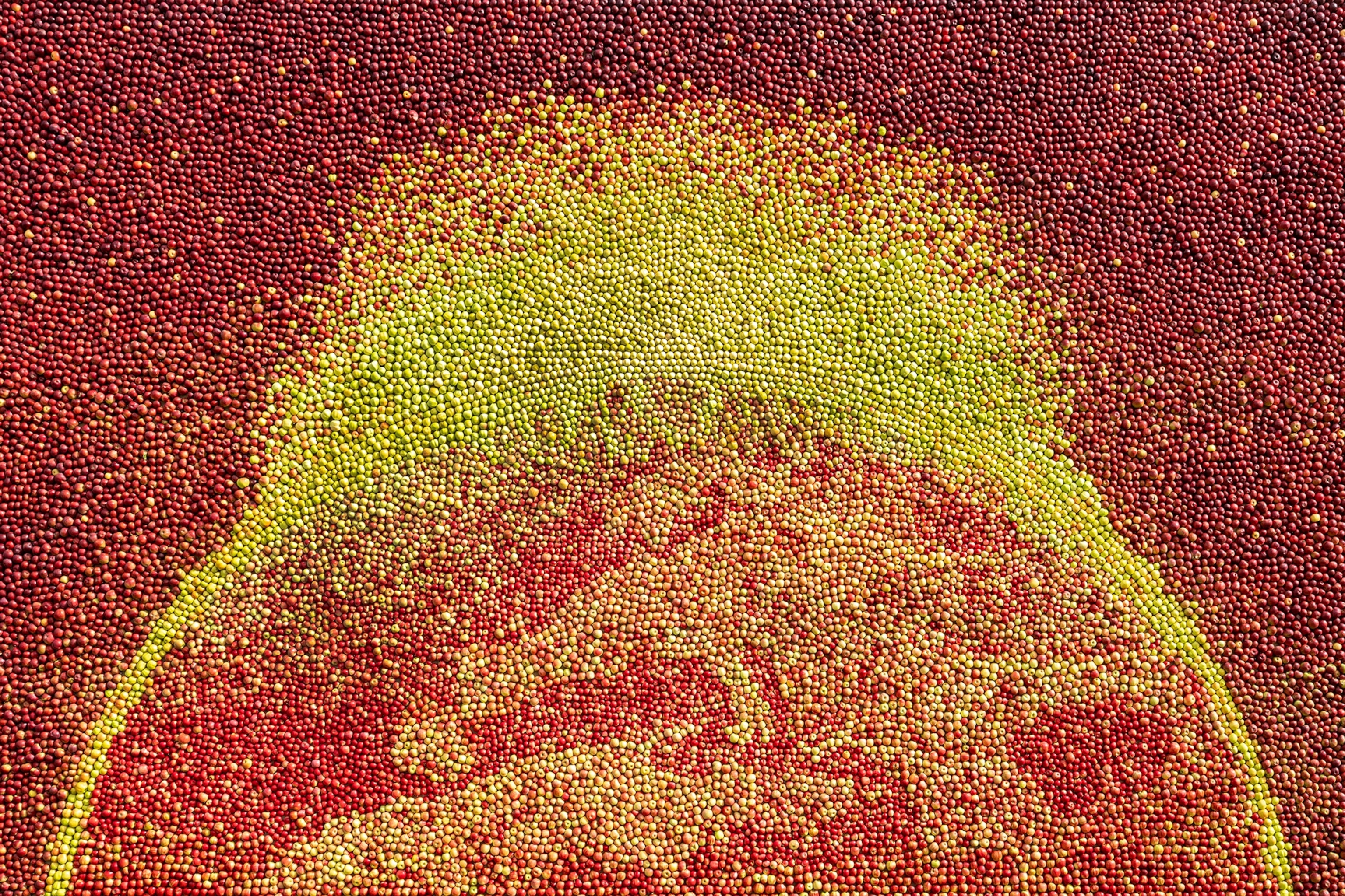 Art made from thousands of apples.