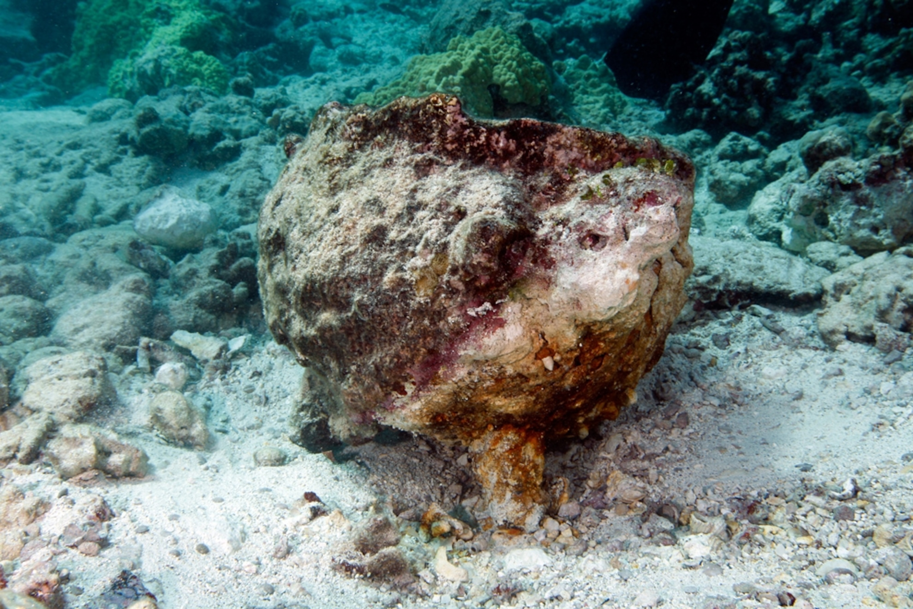 Picture: A cooking pot at the site of the shipwreck.