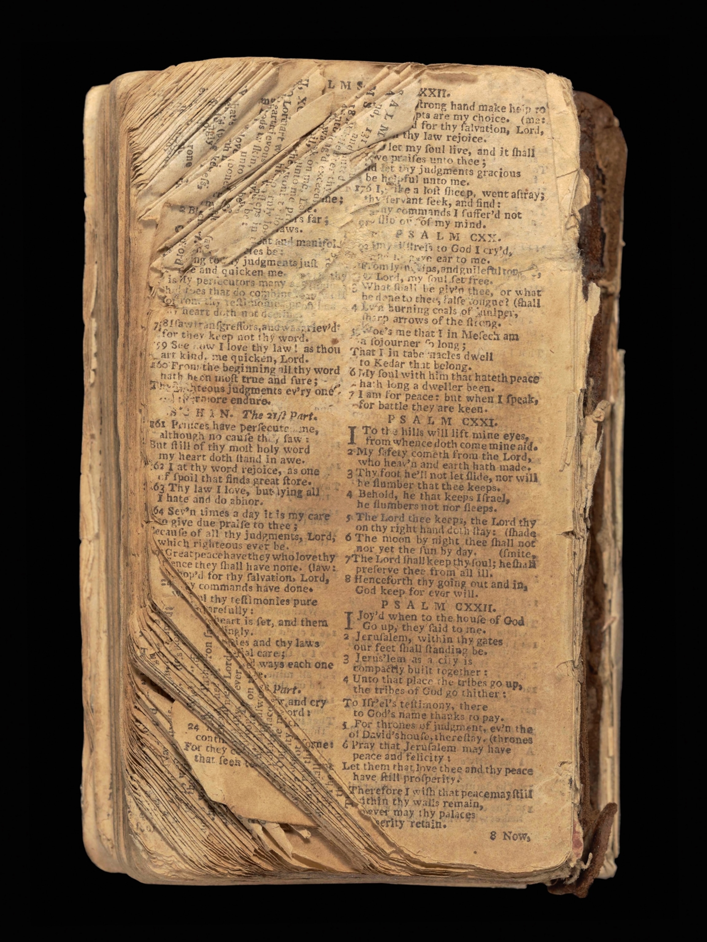 Nat Turner's bible