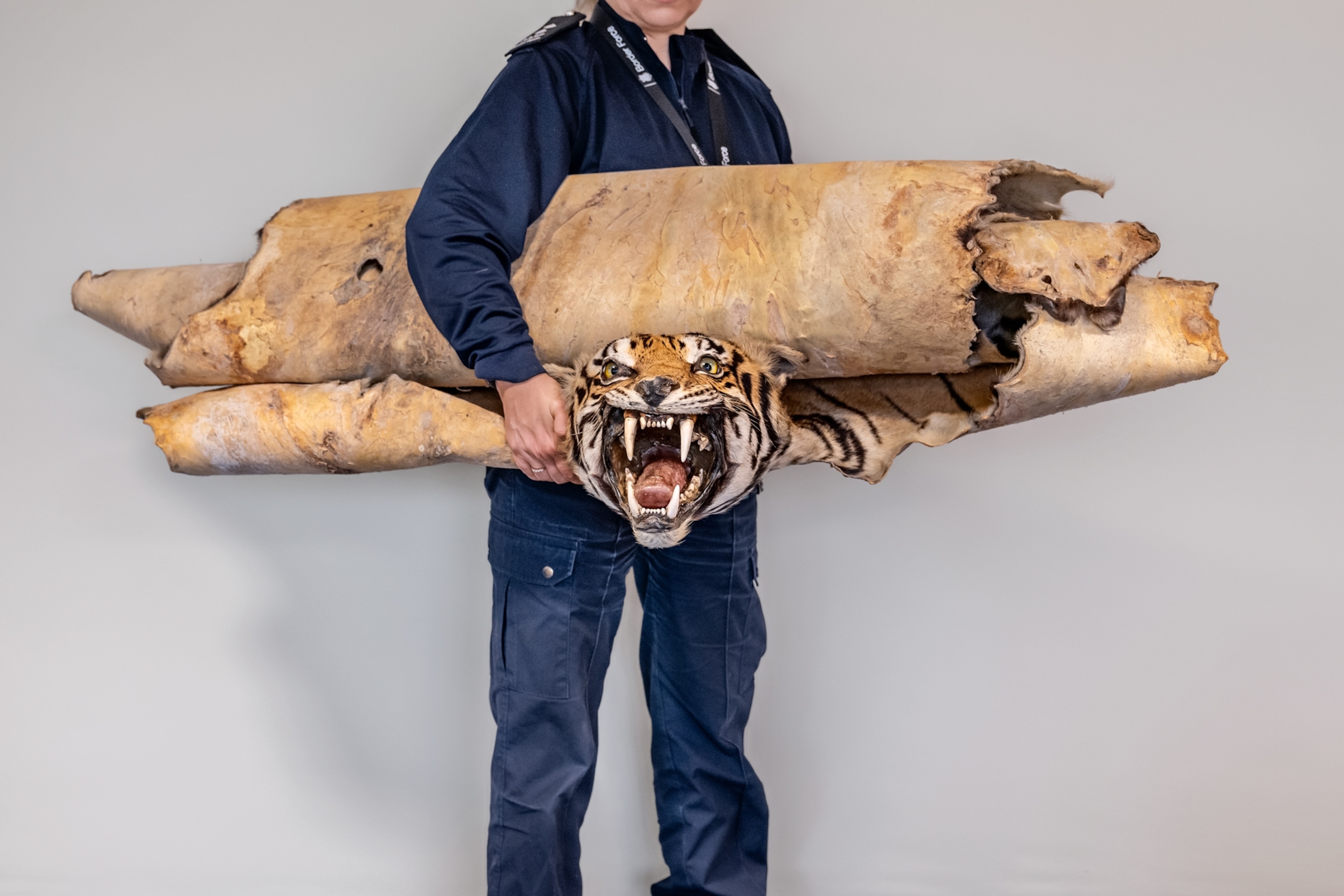 National Geographic | National Geographic