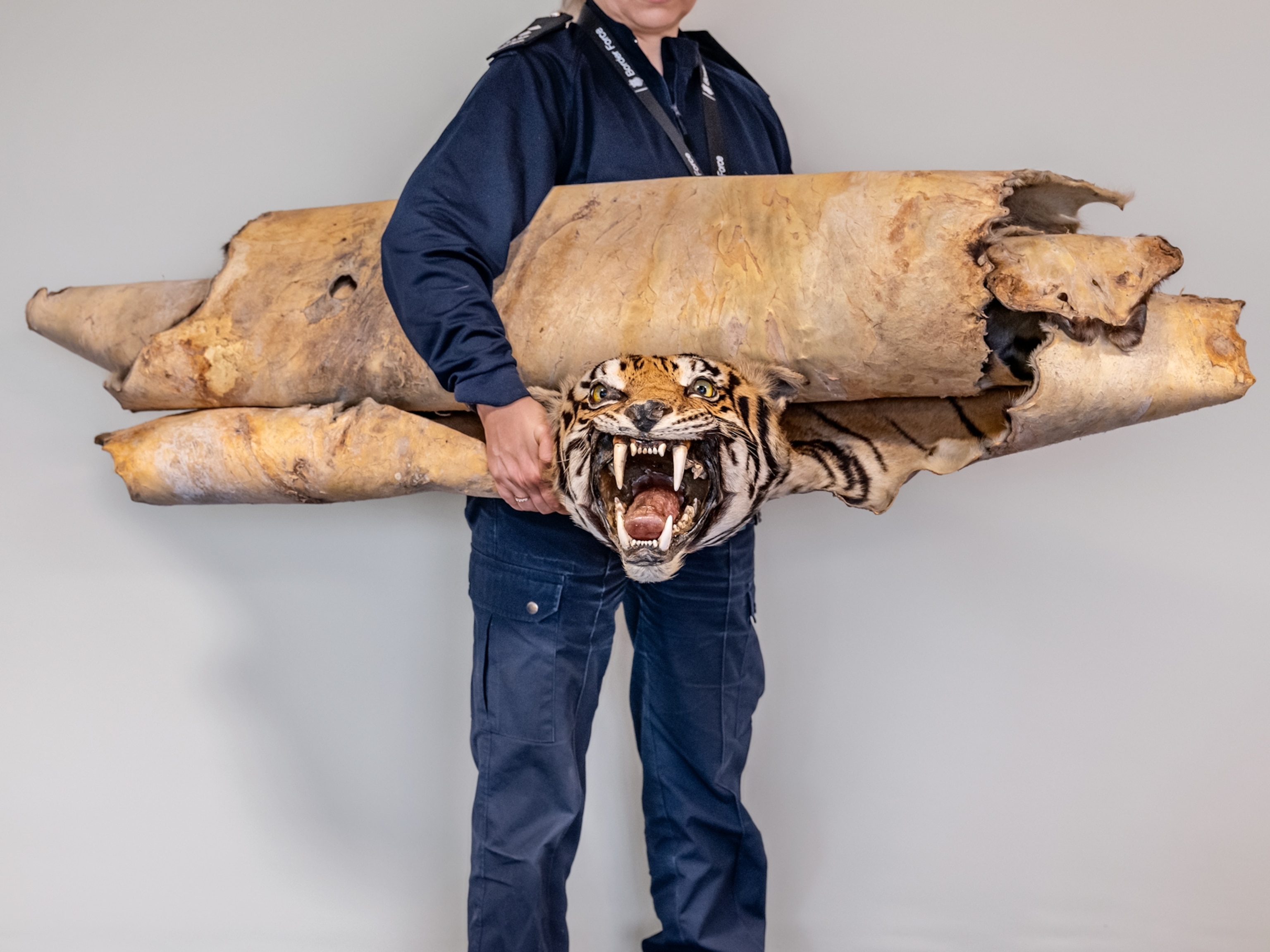 National Geographic | National Geographic