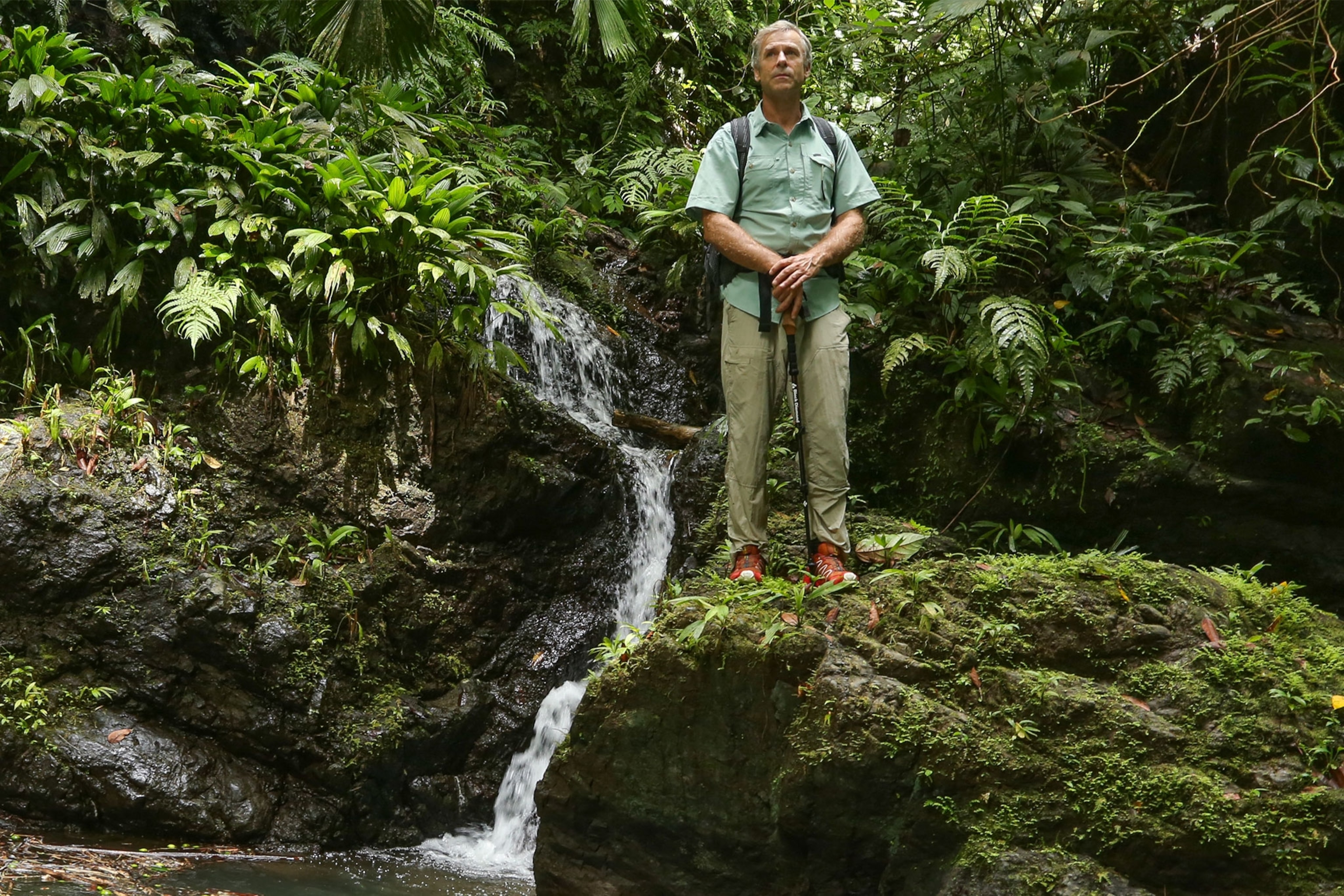 a man standing in the jungle