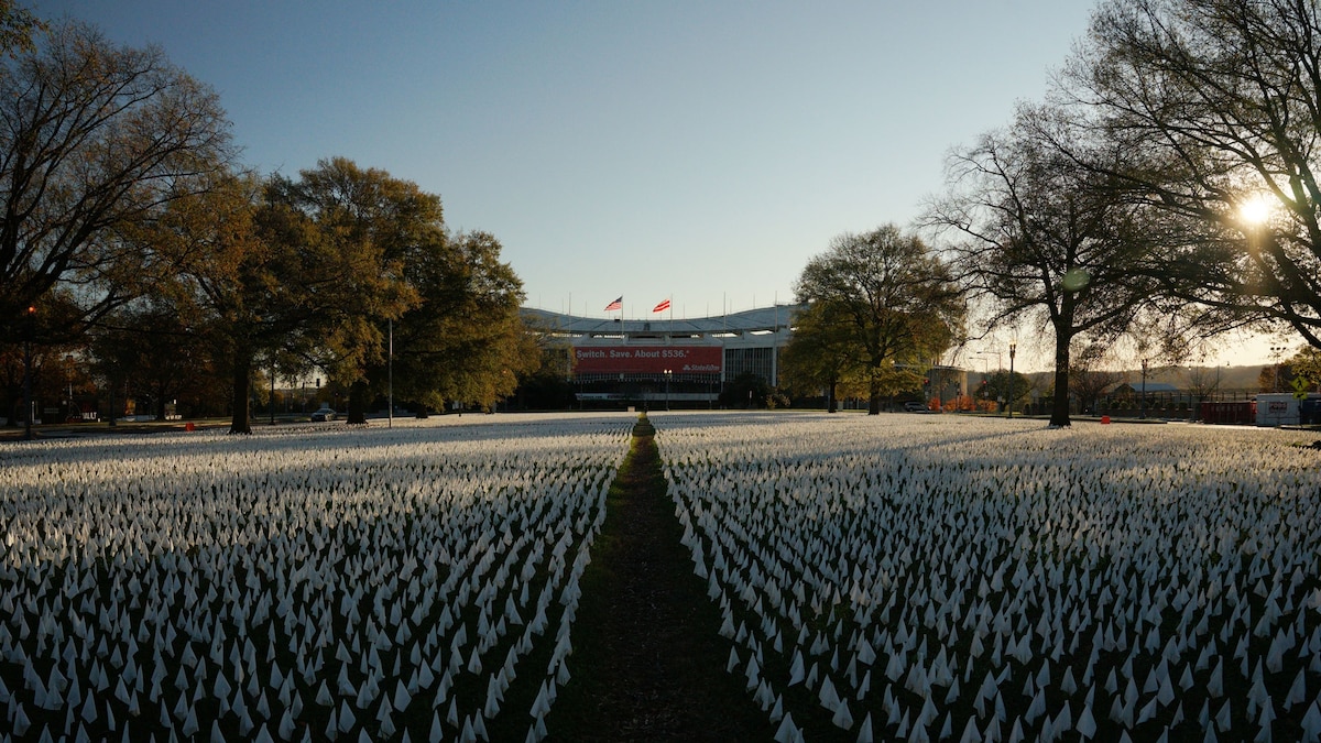 How art helps us make sense of COVID19's toll