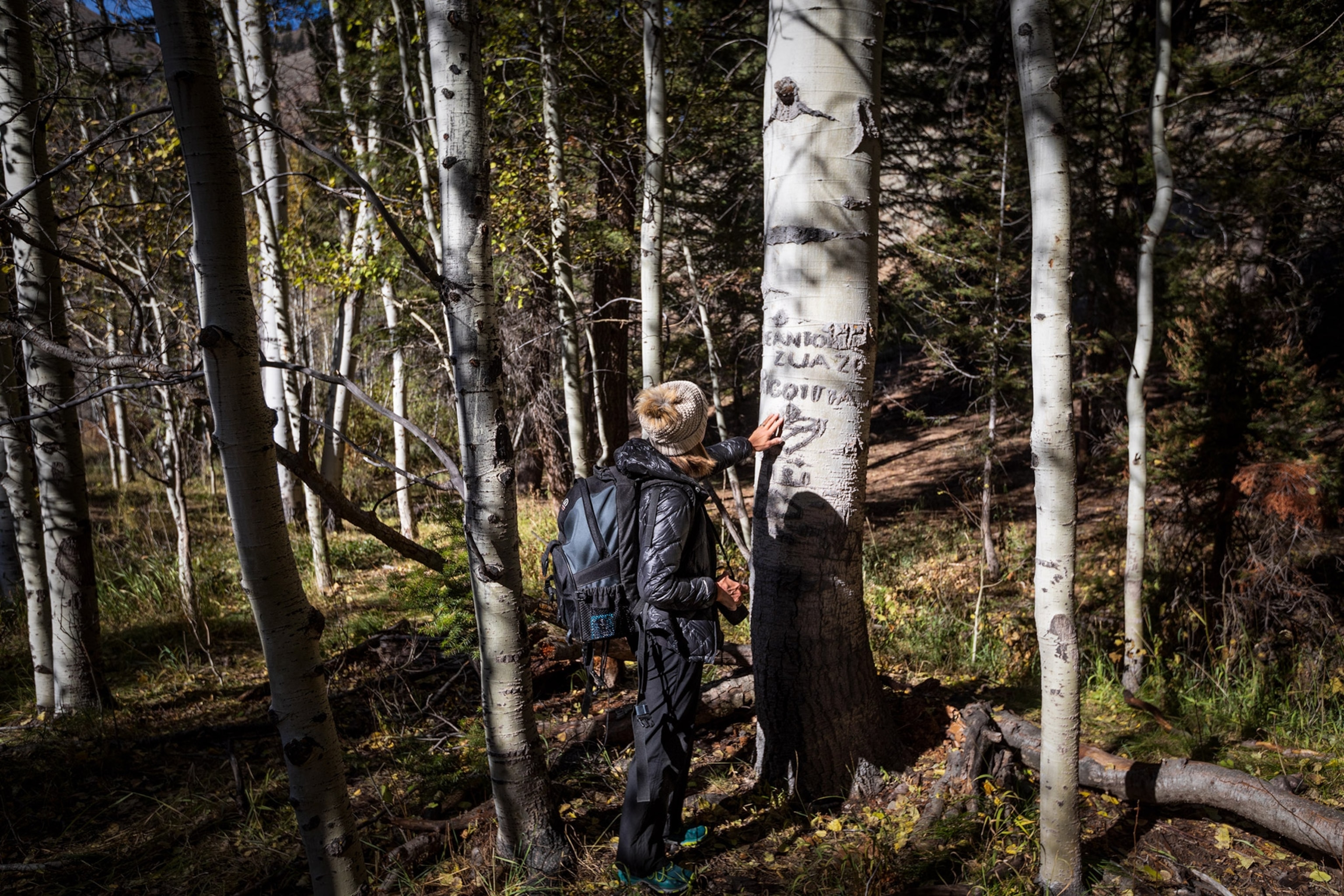 a woman touching a basque arborglyph on a tree near Ketchum, Idaho