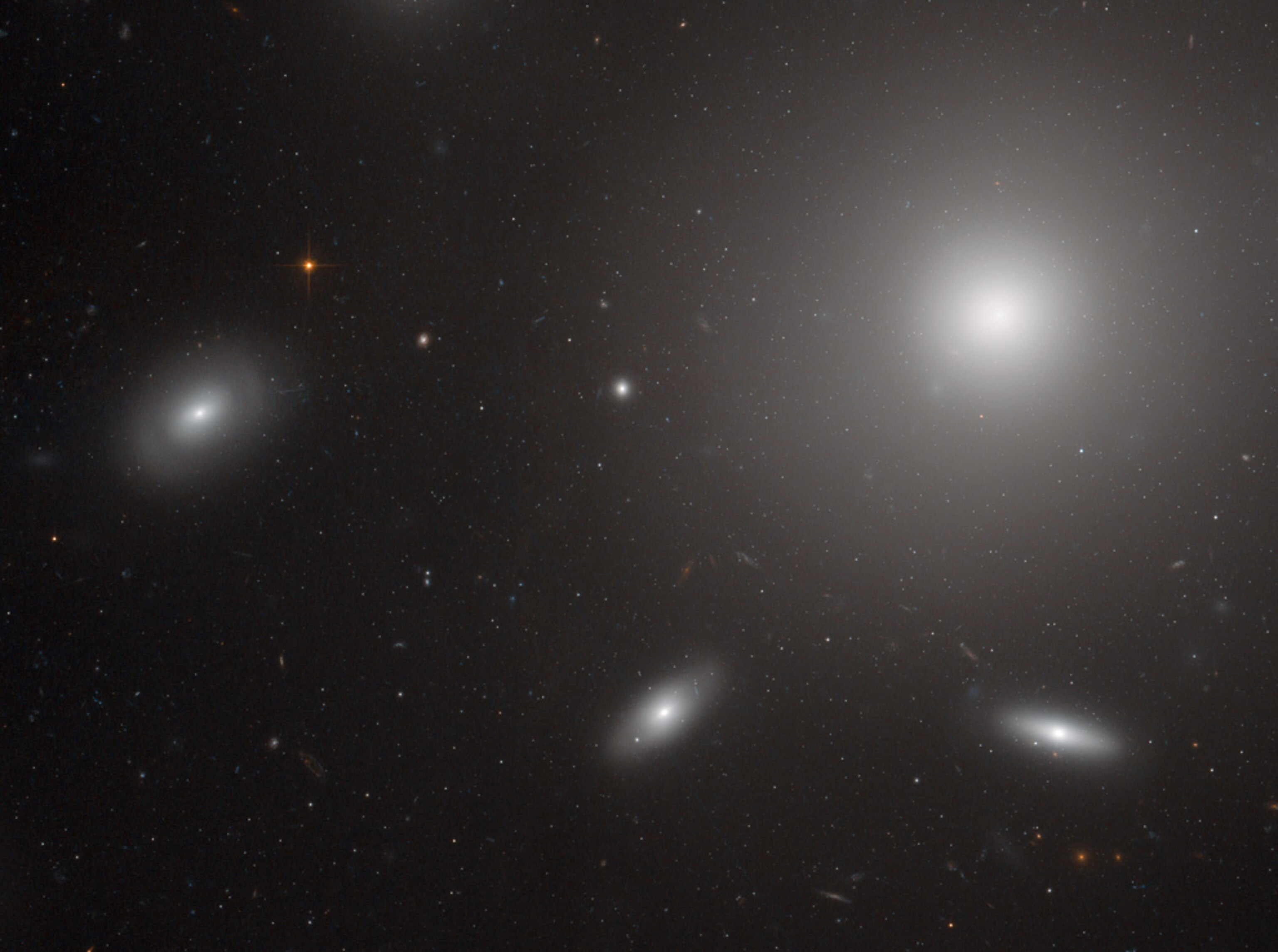 Galaxies picture: A section of the Coma galaxy cluster
