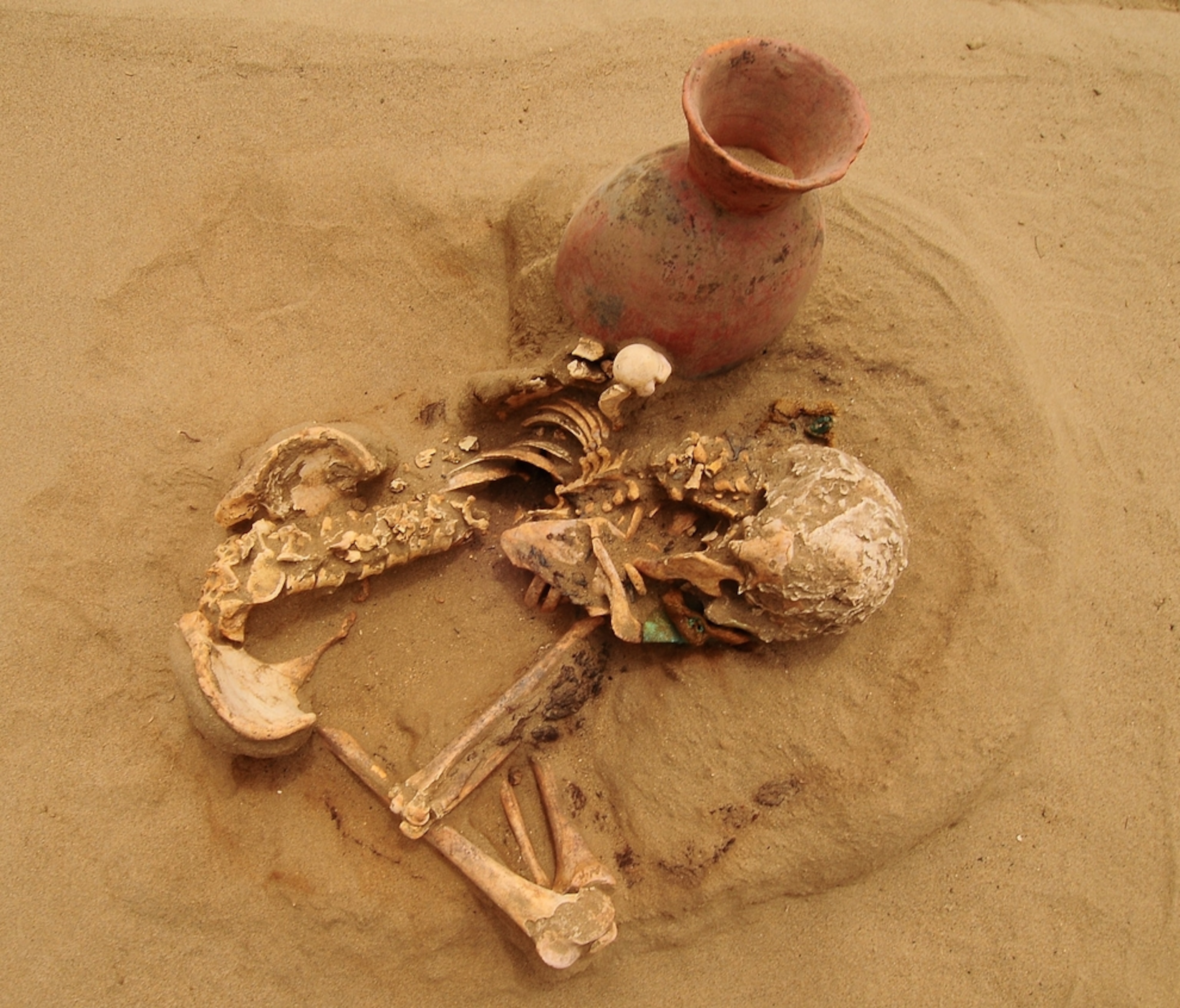 Picture of a skeleton found at the Moche site of Huaca Bandera in Peru, where a new chamber for human sacrifice has been discovered.
